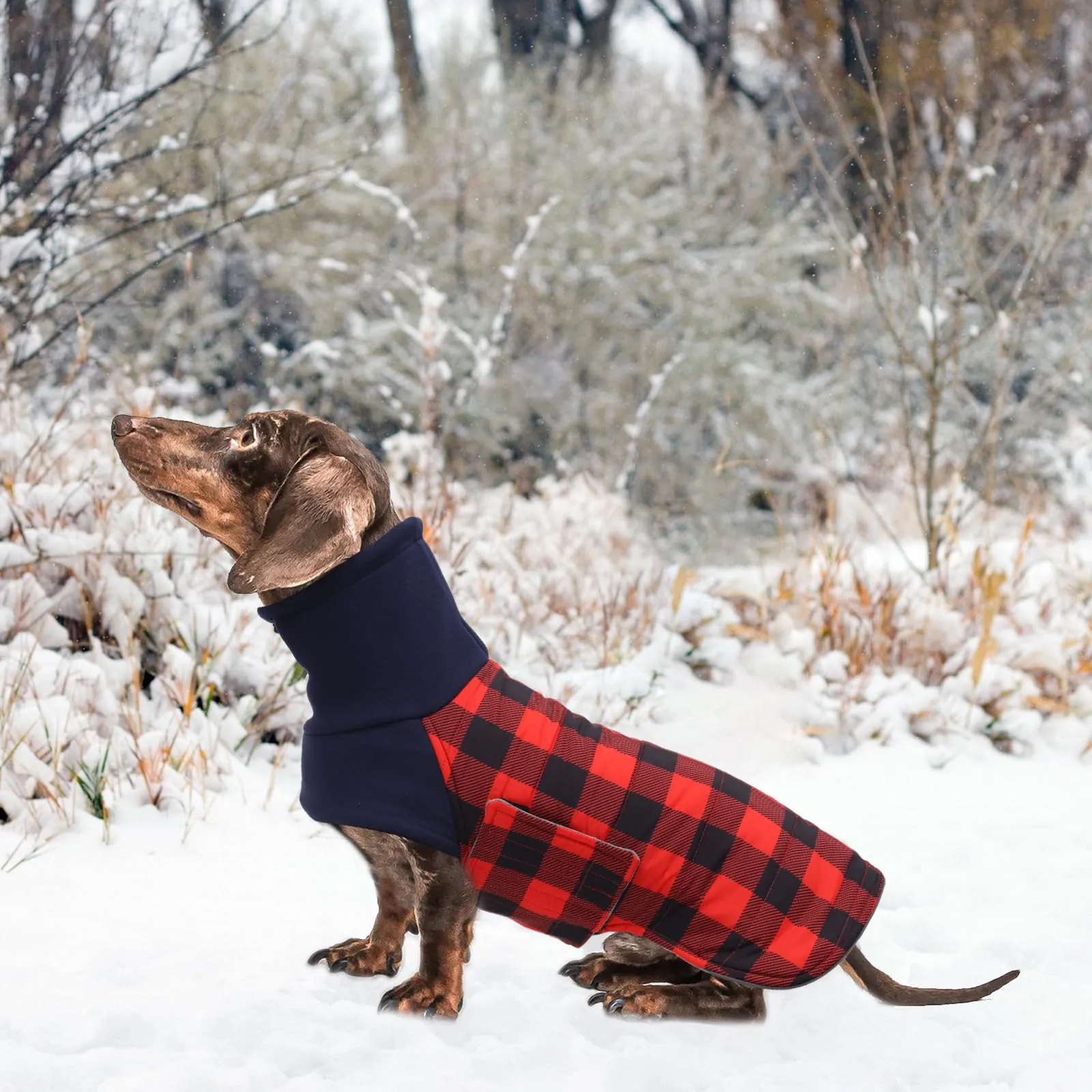 Geyecete Impermeabile Cappotto Bassotto cane,Giacca invernale per bassotto,Regolabile Caldo pullover per Cani,Collo Alto Cappotto da cucciolo,Stile Quadri Inglese-Rosso Quadri-XS - immagine 7