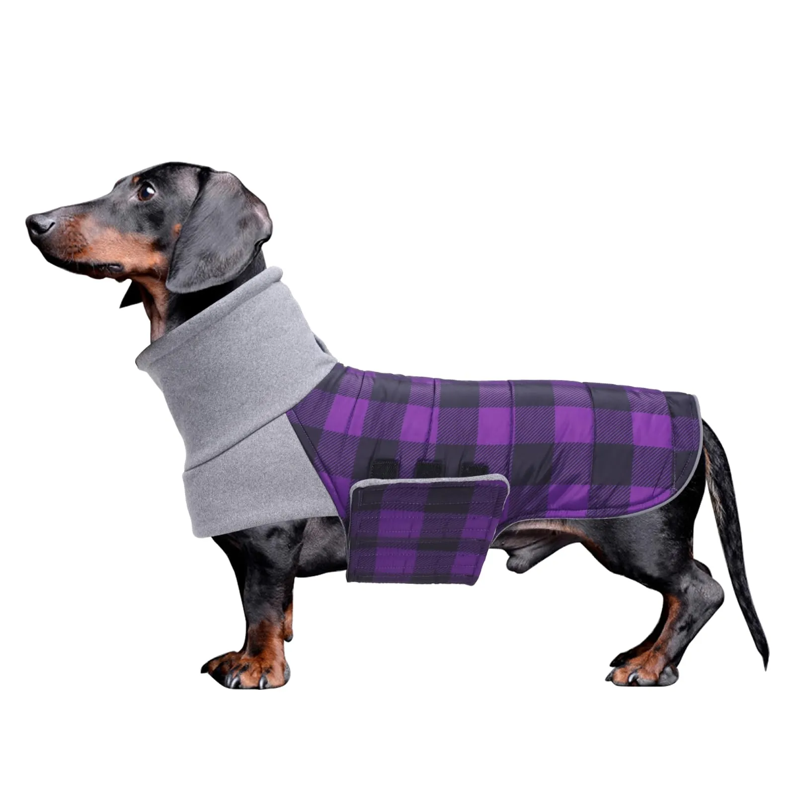 Geyecete Impermeabile Cappotto Bassotto cane,Giacca invernale per bassotto,Regolabile Caldo pullover per Cani,Collo Alto Cappotto da cucciolo,Stile Quadri Inglese-Viola Quadri-XS - immagine 1