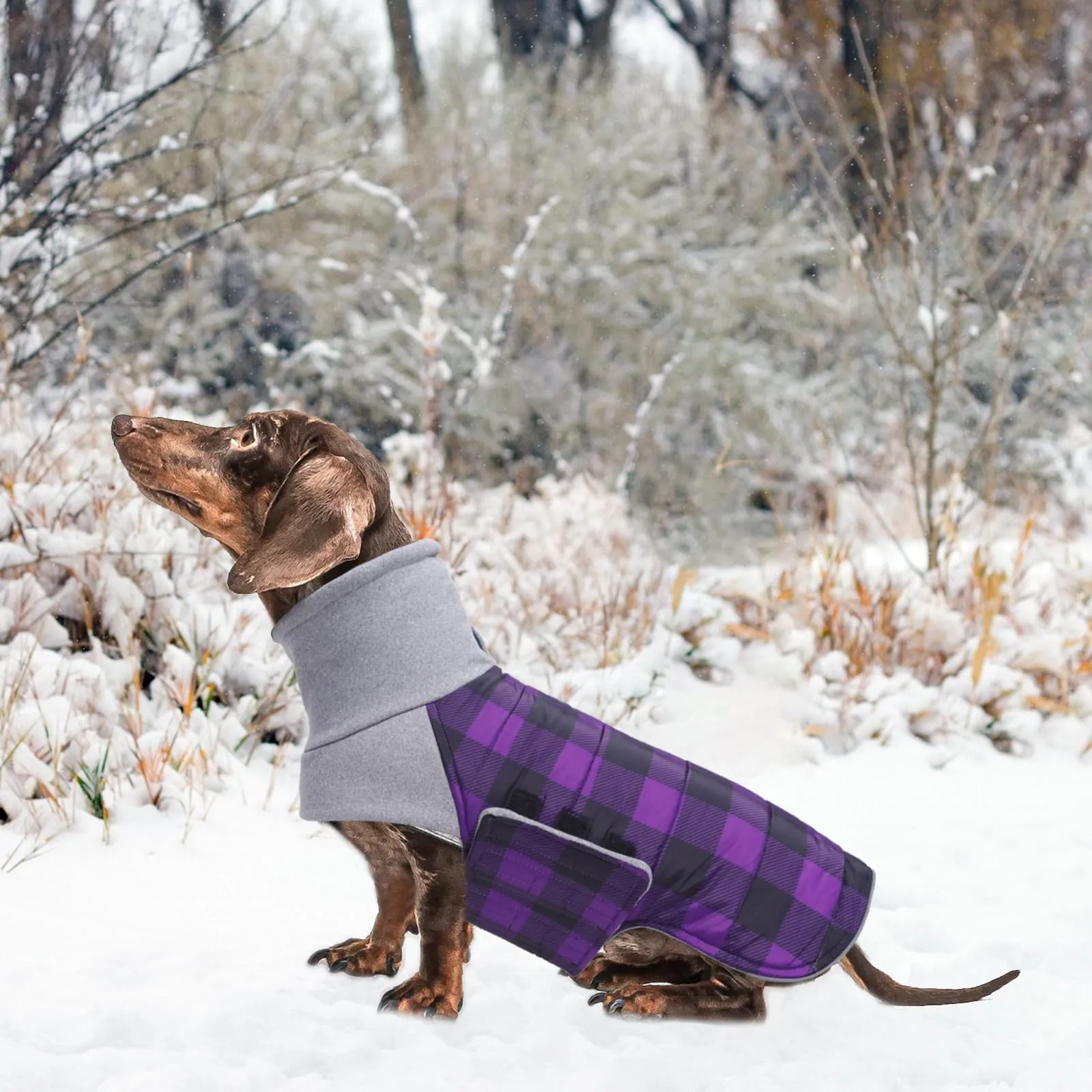 Geyecete Impermeabile Cappotto Bassotto cane,Giacca invernale per bassotto,Regolabile Caldo pullover per Cani,Collo Alto Cappotto da cucciolo,Stile Quadri Inglese-Viola Quadri-XS - immagine 6