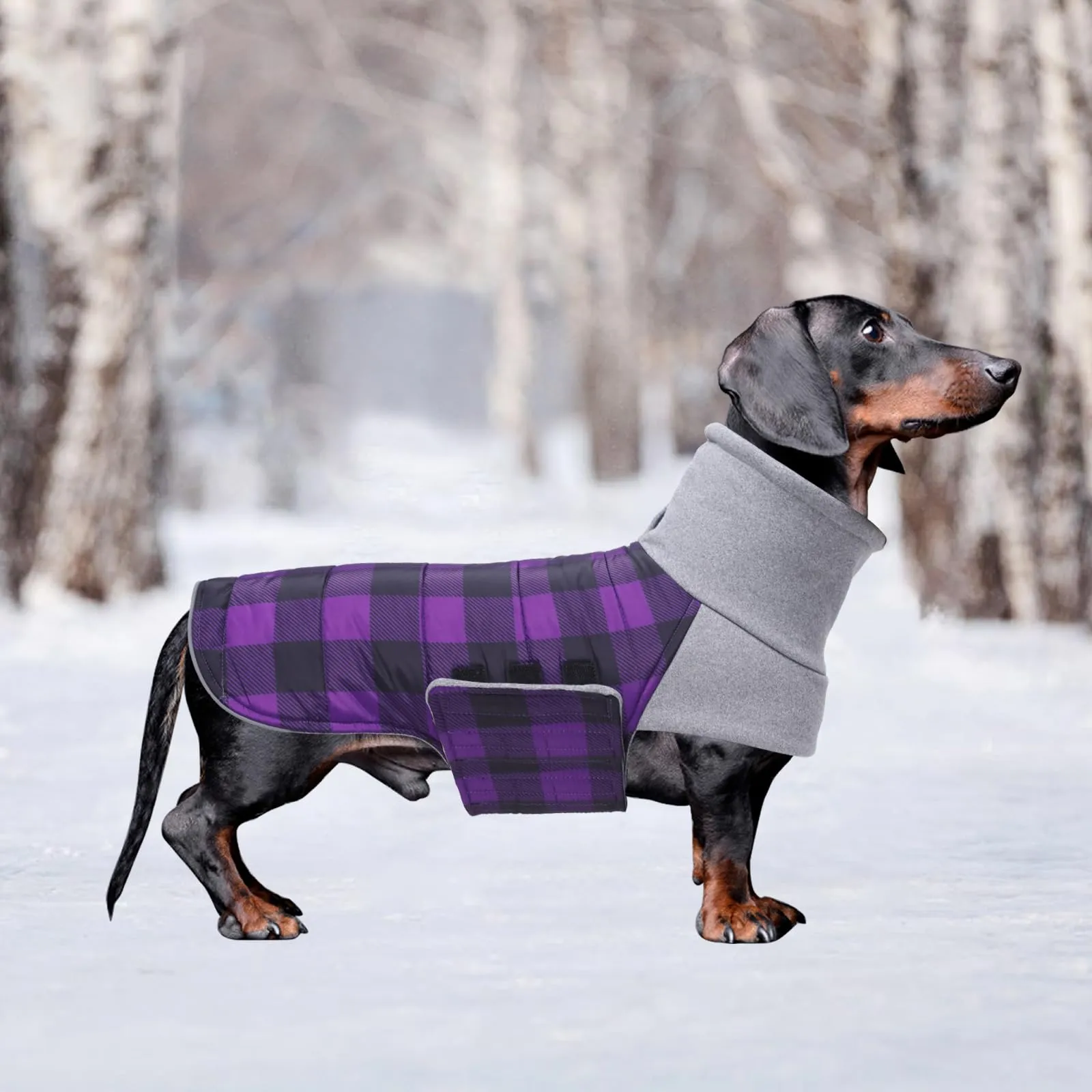 Geyecete Impermeabile Cappotto Bassotto cane,Giacca invernale per bassotto,Regolabile Caldo pullover per Cani,Collo Alto Cappotto da cucciolo,Stile Quadri Inglese-Viola Quadri-S - immagine 5