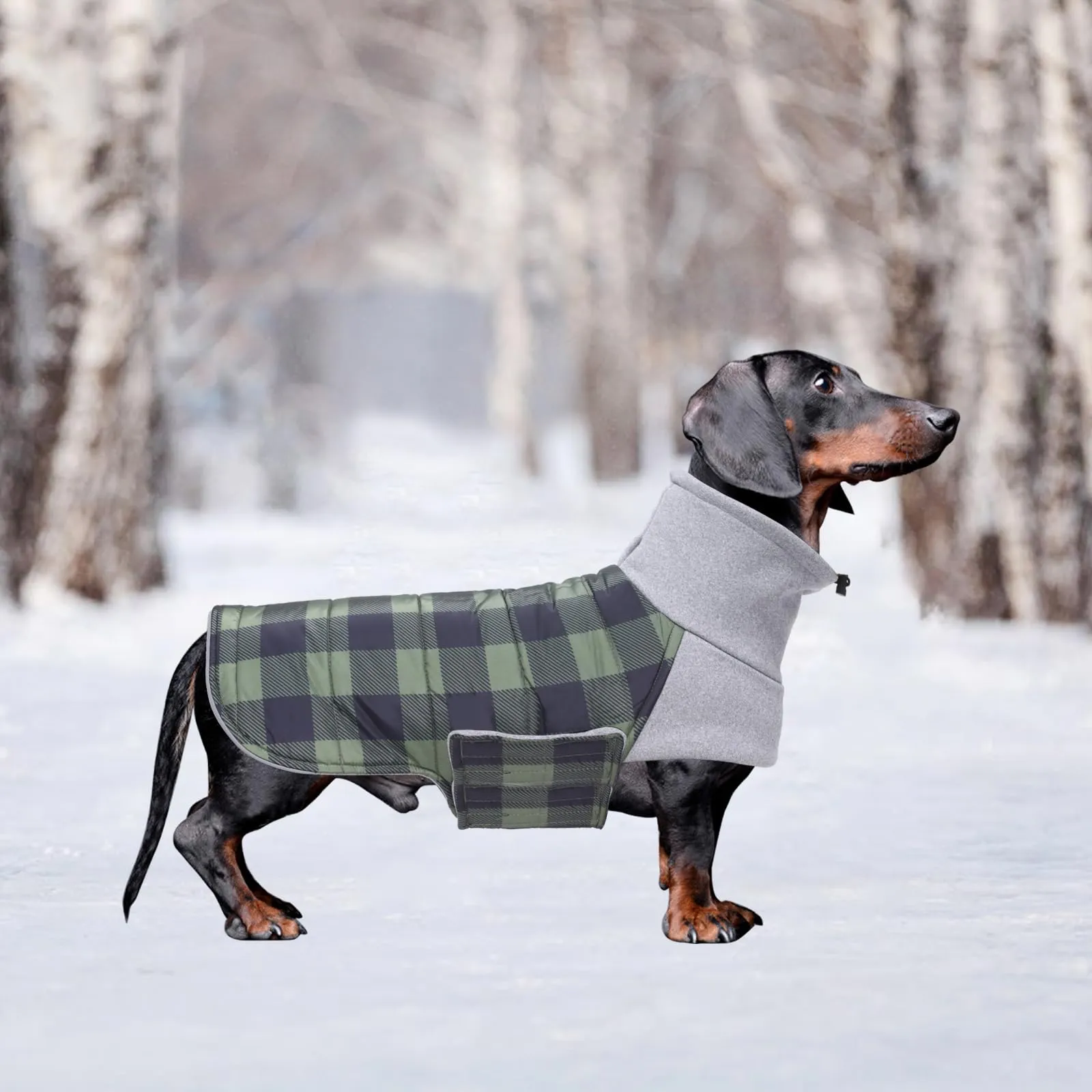 Geyecete Impermeabile Cappotto Bassotto cane,Giacca invernale per bassotto,Regolabile Caldo pullover per Cani,Collo Alto Cappotto da cucciolo,Stile Quadri Inglese-Verde Quadri-XS - immagine 5