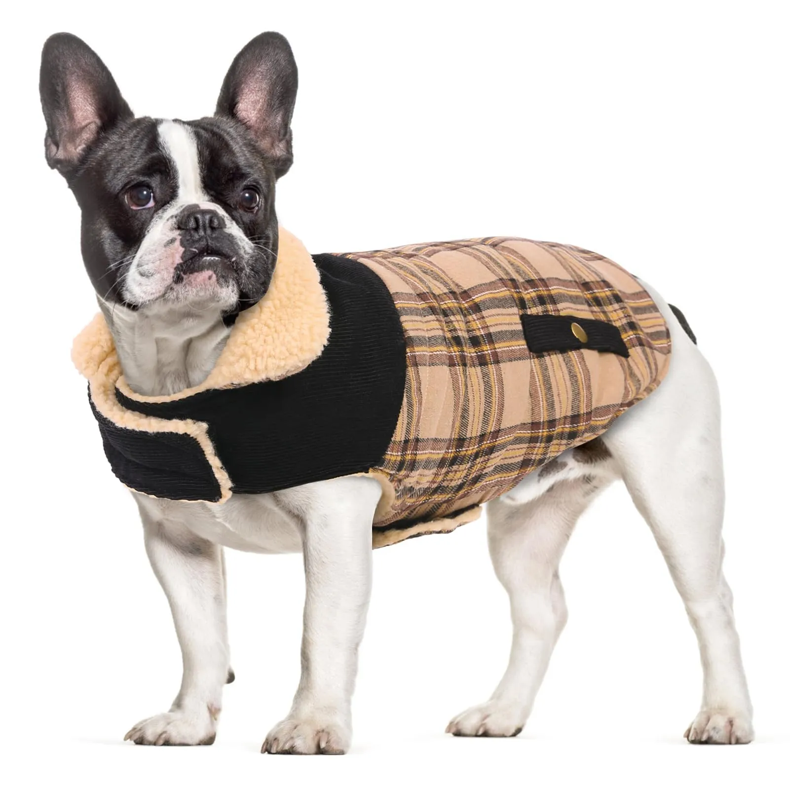 CITÉTOILE Cappotto Invernale per Cani in Lana Spessa Beige XL - immagine 1