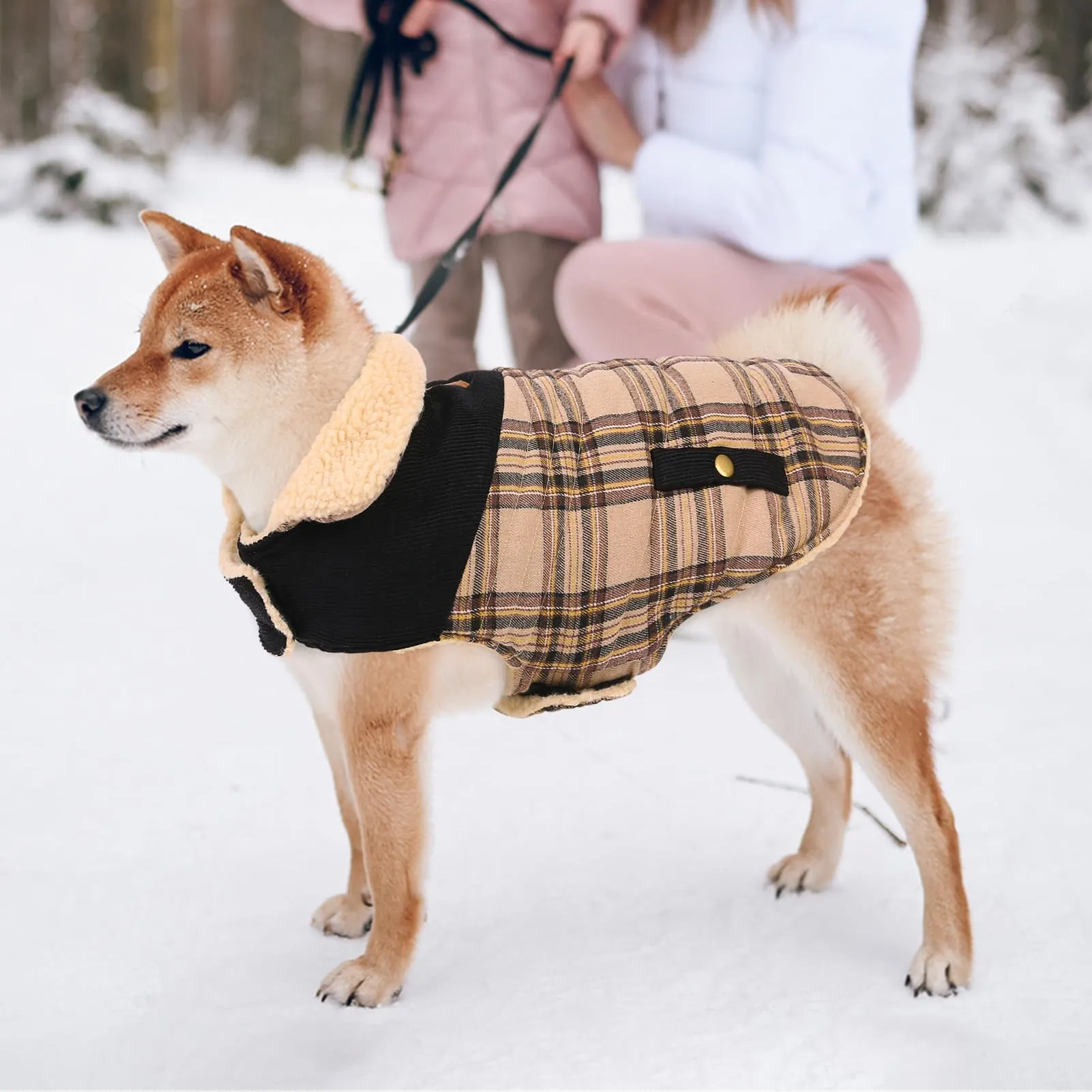 CITÉTOILE Cappotto Invernale per Cani in Lana Spessa Beige S - immagine 6