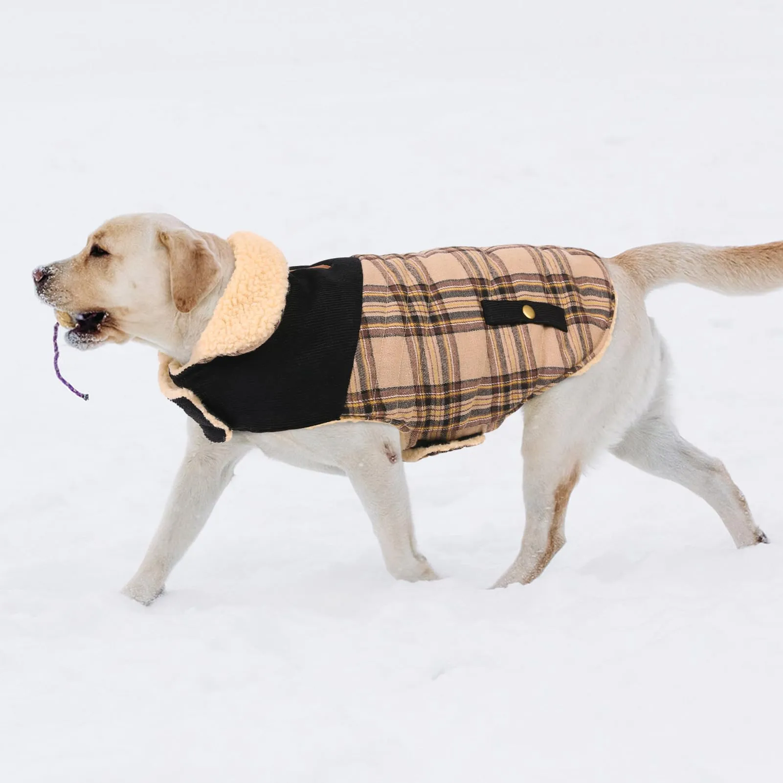CITÉTOILE Cappotto Invernale per Cani in Lana Spessa Beige S - immagine 7