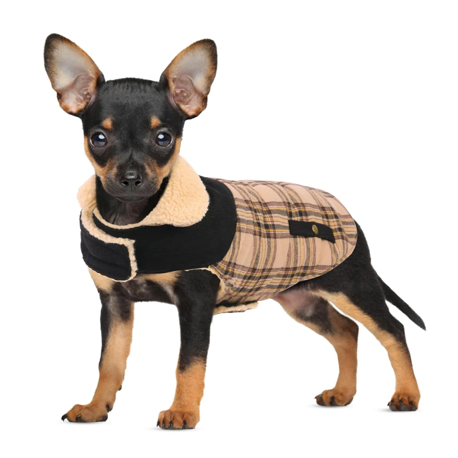 CITÉTOILE Cappotto Invernale per Cani in Lana Spessa Beige XS - immagine 1