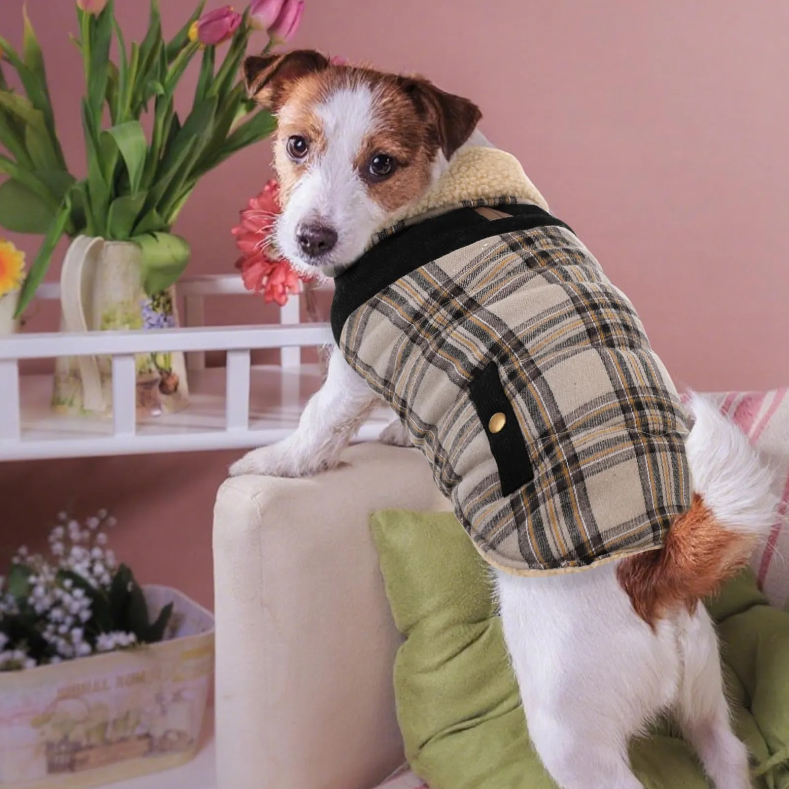 CITÉTOILE Cappotto Invernale per Cani in Lana Spessa Beige XS - immagine 5