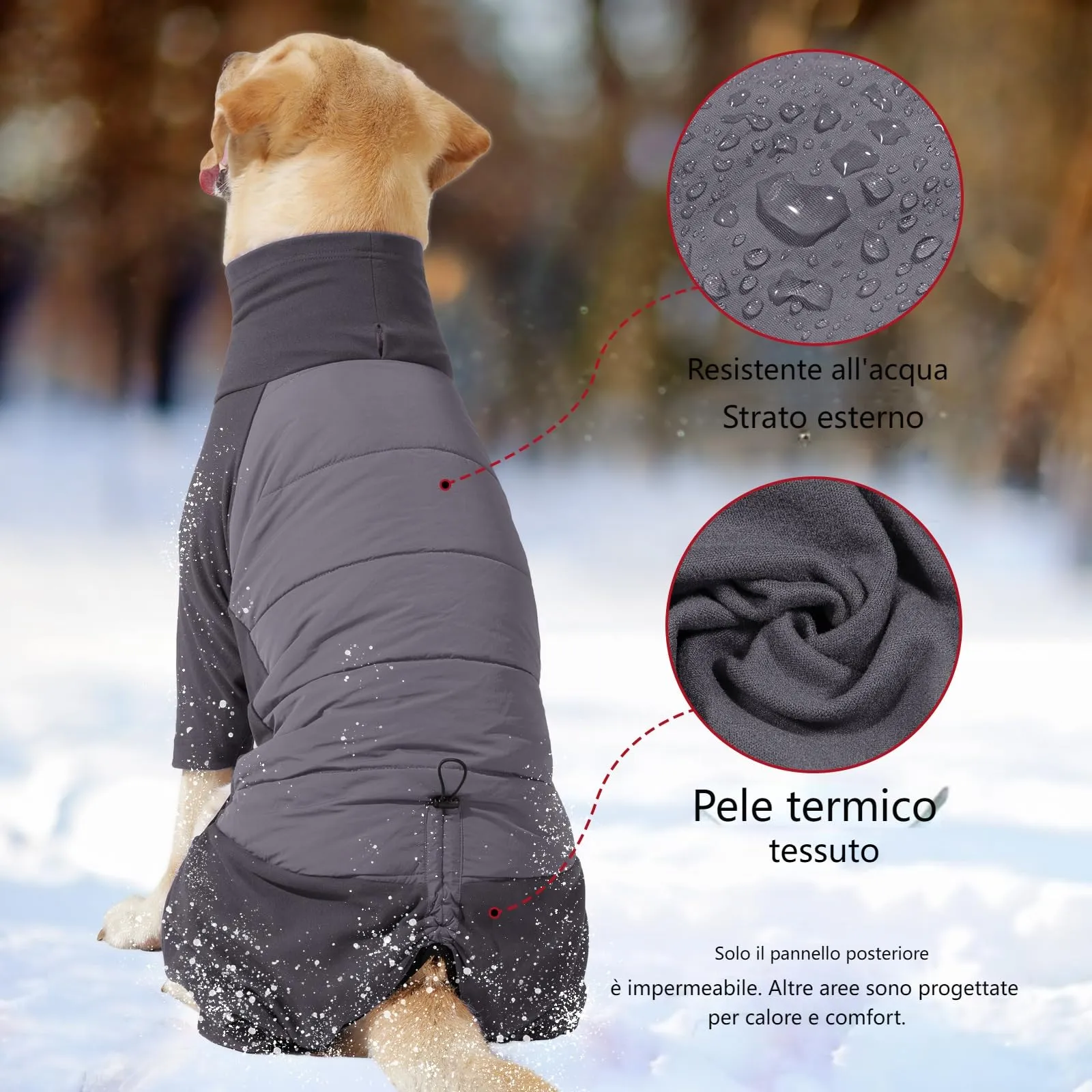 Dotoner Cappotto per Cane a 4 Zampe, Giacca Antivento Invernale con Materiale Elastico, Body Caldo con Passante per Guinzaglio, Pigiama Cani di Taglia Piccola Media e Grande - immagine 5