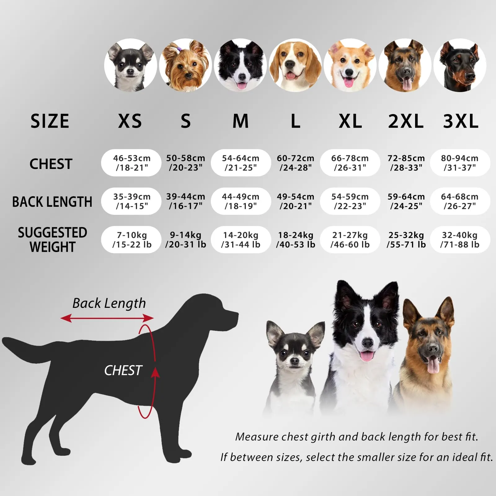 Dotoner Cappotto per Cane a 4 Zampe, Giacca Antivento Invernale con Materiale Elastico, Body Caldo con Passante per Guinzaglio, Pigiama Cani di Taglia Piccola Media e Grande - immagine 2