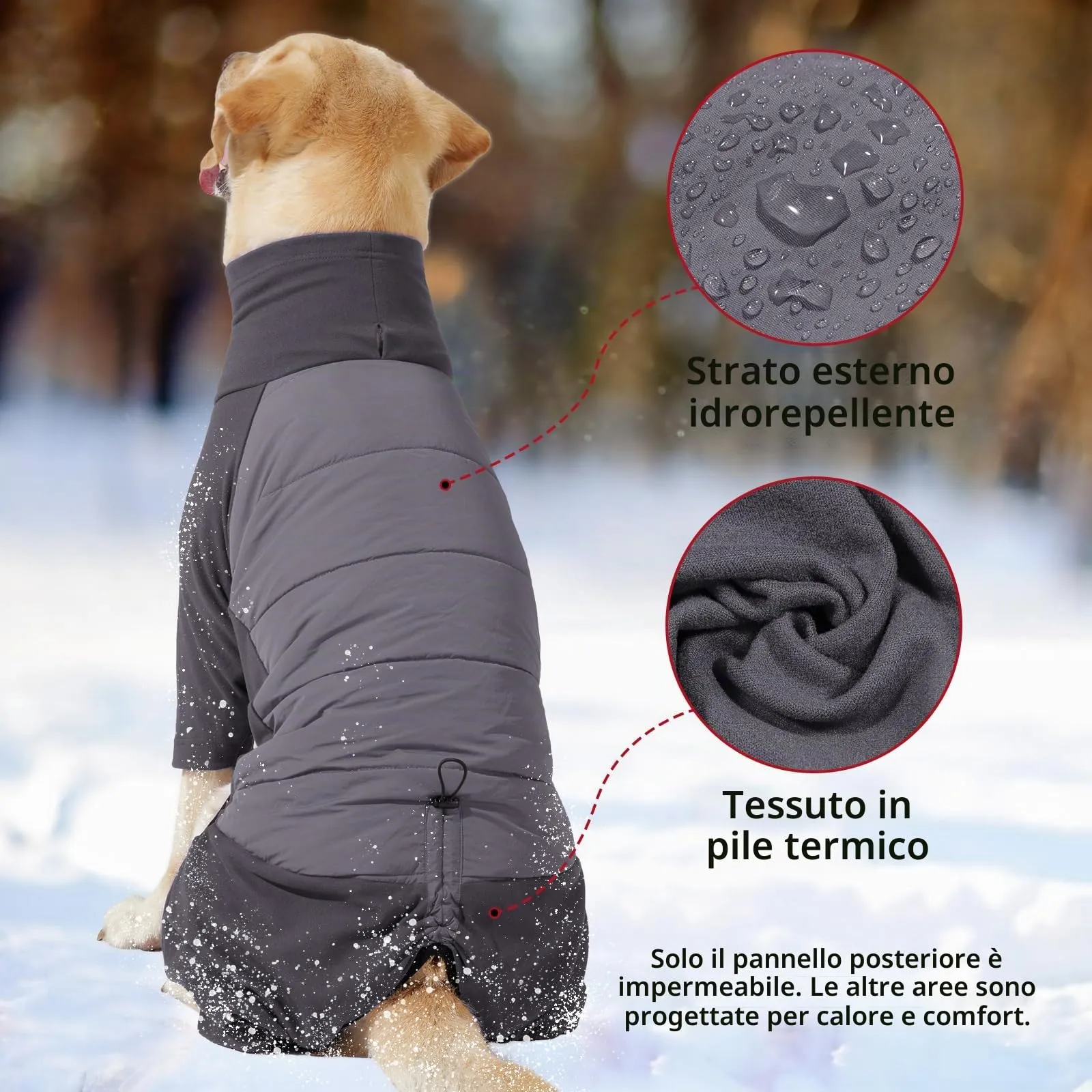 Dotoner Cappotto per Cane a 4 Zampe, Giacca Antivento Invernale con Materiale Elastico, Body Caldo con Passante per Guinzaglio, Pigiama Cani di Taglia Piccola Media e Grande - immagine 5