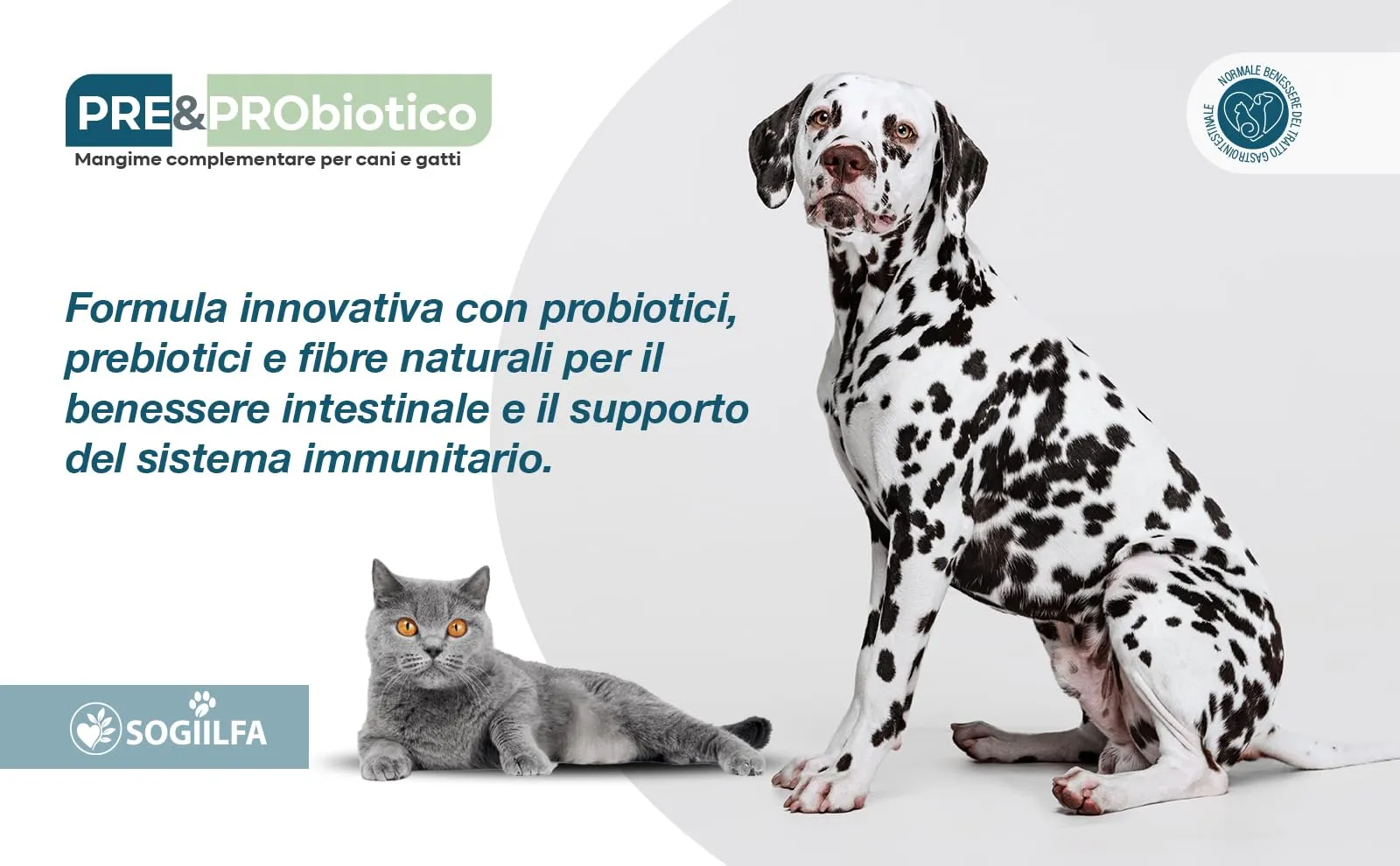 Miglior Fermenti lattici cani 120 pz probiotici per cani e gatti, probiotici per intestino con Enzimi digestivi vivi.Probiotico per cani e gatti naturale rilassante. Pastiglie per prurito e dermatite - immagine 2
