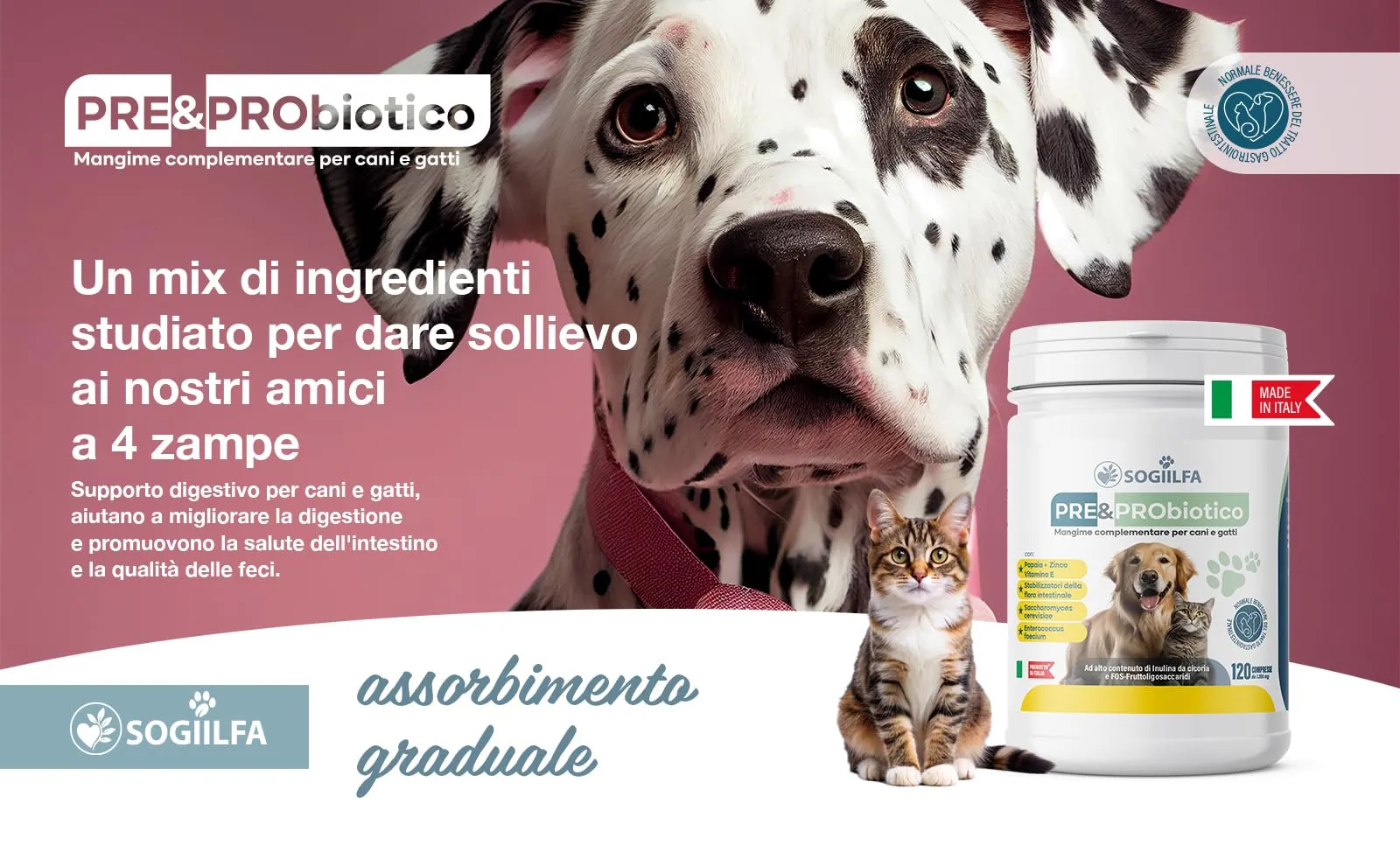 Miglior Fermenti lattici cani 120 pz probiotici per cani e gatti, probiotici per intestino con Enzimi digestivi vivi.Probiotico per cani e gatti naturale rilassante. Pastiglie per prurito e dermatite - immagine 5