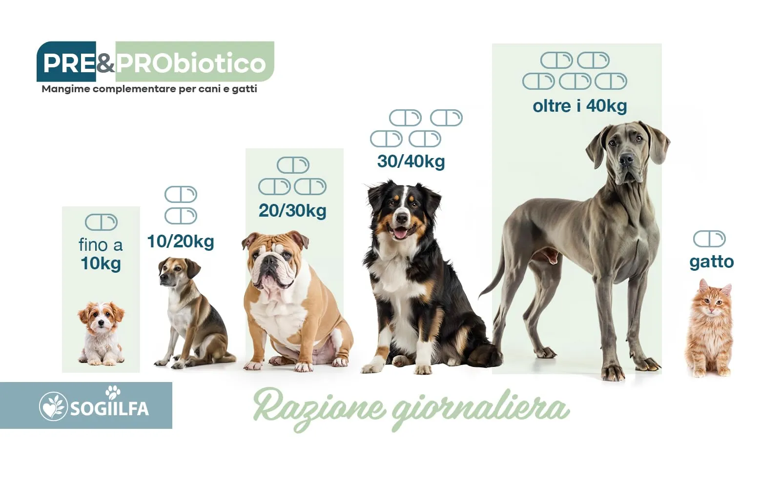 Miglior Fermenti lattici cani 120 pz probiotici per cani e gatti, probiotici per intestino con Enzimi digestivi vivi.Probiotico per cani e gatti naturale rilassante. Pastiglie per prurito e dermatite - immagine 8