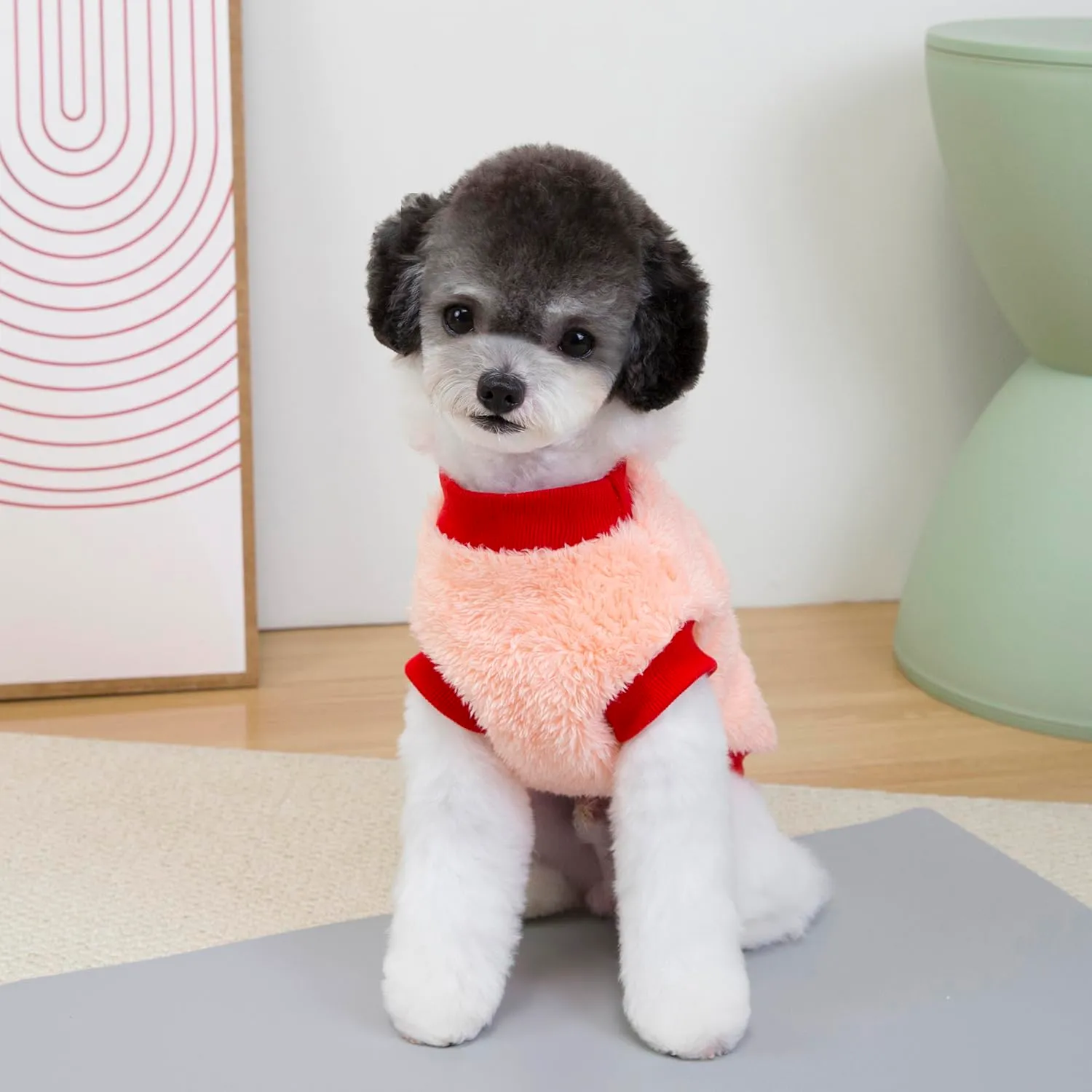Izefia Cane Maglione Vestiti Abbigliamento Felpe Maglioni di Lana Con Guinzaglio Passante Inverno Caldo Felpa Camicia Pigiama Morbido Modello Carino Gilet Maglione per Cane di Piccola Taglia Gatto - immagine 5