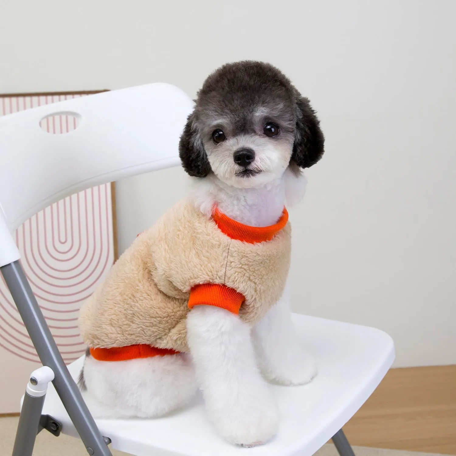 Izefia Cane Maglione Vestiti Abbigliamento Felpe Maglioni di Lana Con Guinzaglio Passante Inverno Caldo Felpa Camicia Pigiama Morbido Modello Carino Gilet Maglione per Cane di Piccola Taglia Gatto - immagine 3
