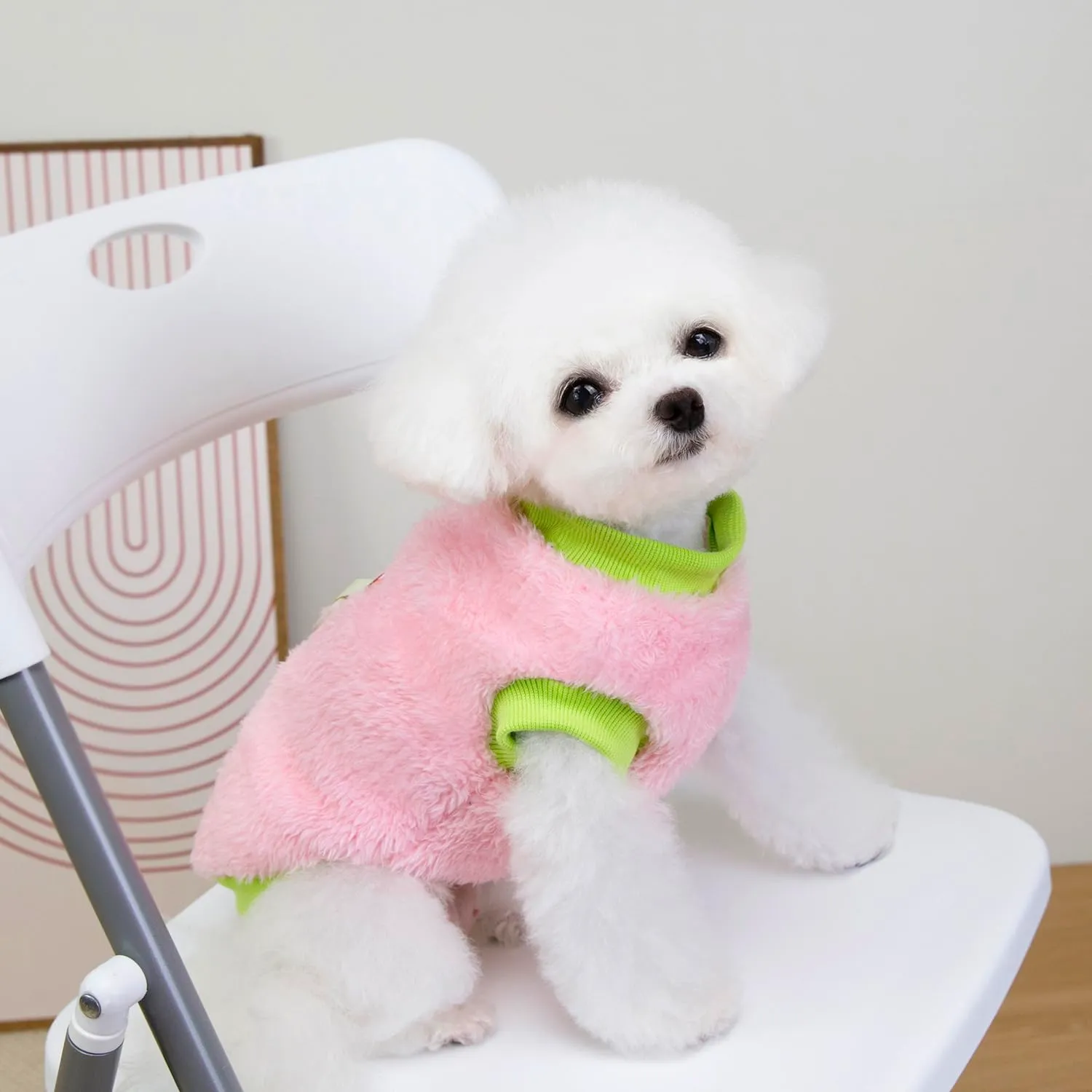 Izefia Cane Maglione Vestiti Abbigliamento Felpe Maglioni di Lana Con Guinzaglio Passante Inverno Caldo Felpa Camicia Pigiama Morbido Modello Carino Gilet Maglione per Cane di Piccola Taglia Gatto - immagine 3