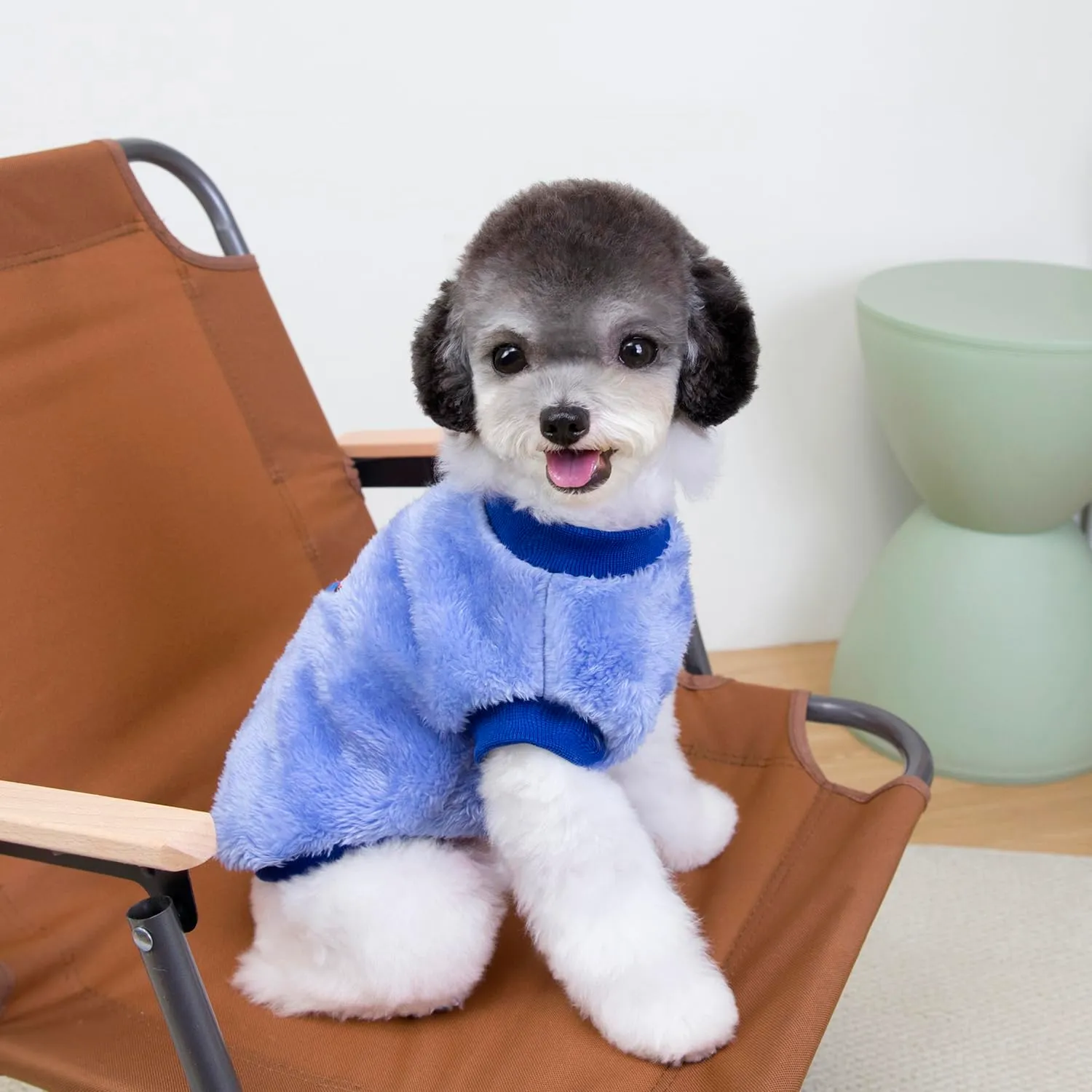 Izefia Cane Maglione Vestiti Abbigliamento Felpe Maglioni di Lana Con Guinzaglio Passante Inverno Caldo Felpa Camicia Pigiama Morbido Modello Carino Gilet Maglione per Cane di Piccola Taglia Gatto - immagine 3