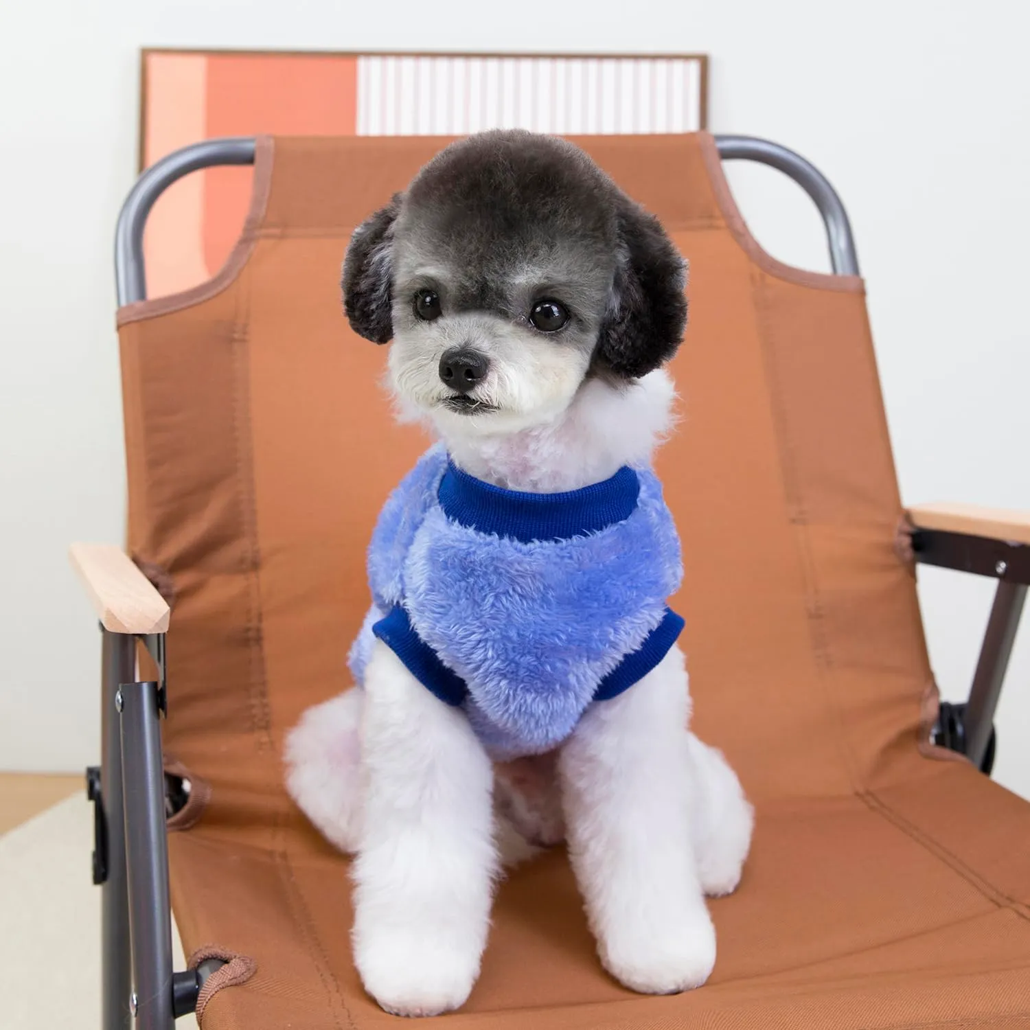 Izefia Cane Maglione Vestiti Abbigliamento Felpe Maglioni di Lana Con Guinzaglio Passante Inverno Caldo Felpa Camicia Pigiama Morbido Modello Carino Gilet Maglione per Cane di Piccola Taglia Gatto - immagine 4