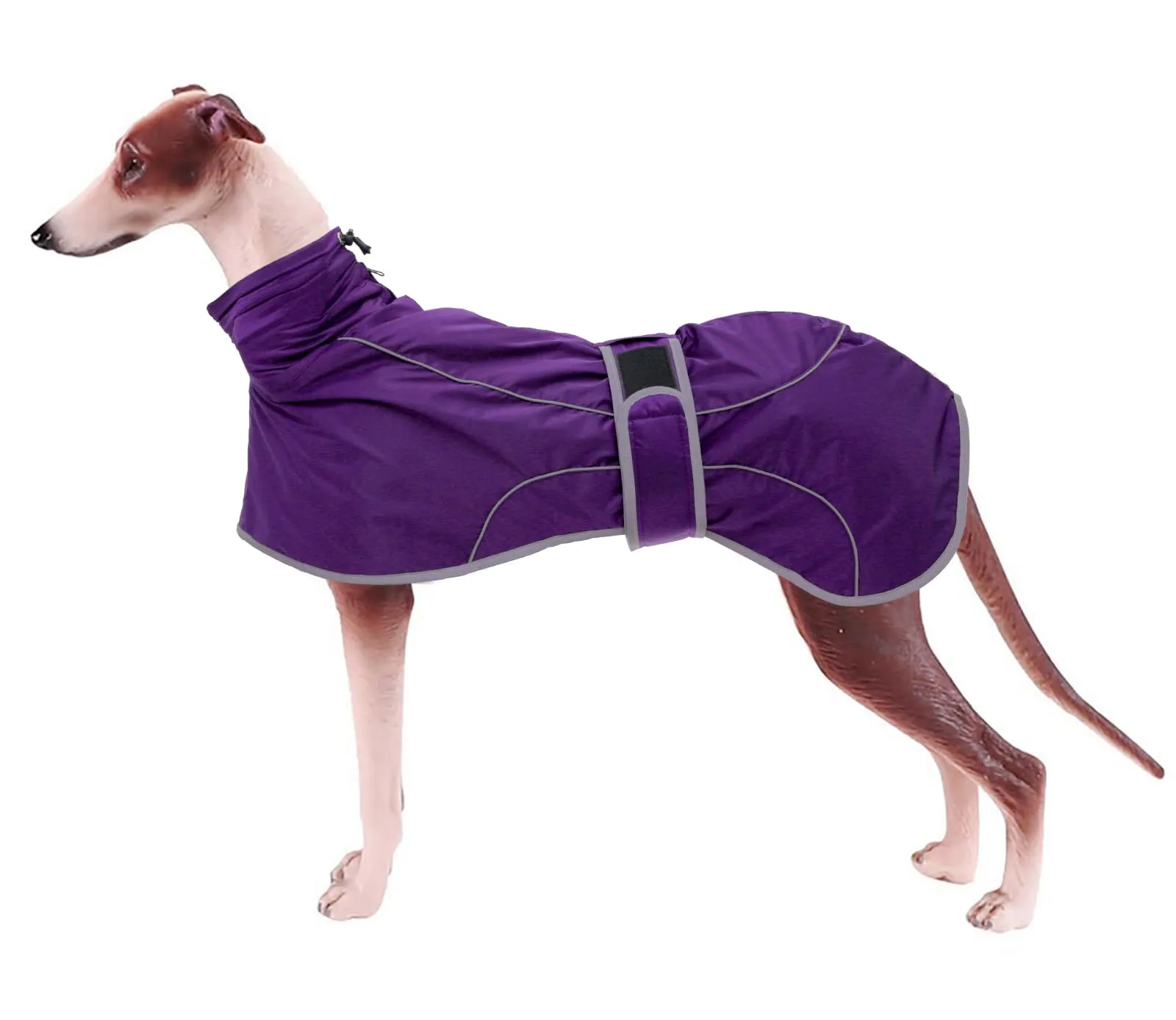 Geyecete Invernale Cappotto Cane Impermeabili per Levrieri,Pile Caldo Giubbotti per Whippet con Fasce Regolabili,Lurcher Pullover,per Media Grande Sighthound Cane -viola-XXXL - immagine 1