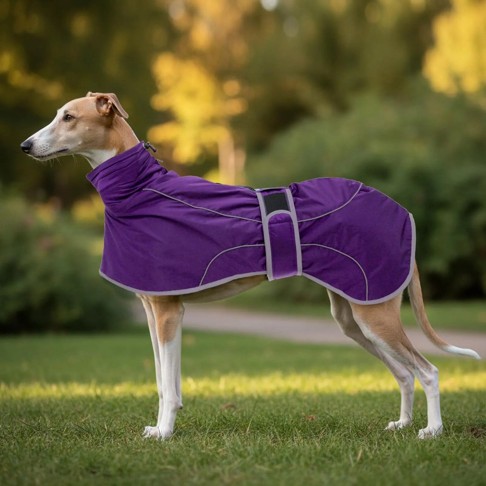 Geyecete Invernale Cappotto Cane Impermeabili per Levrieri,Pile Caldo Giubbotti per Whippet con Fasce Regolabili,Lurcher Pullover,per Media Grande Sighthound Cane -viola-XXXL - immagine 6