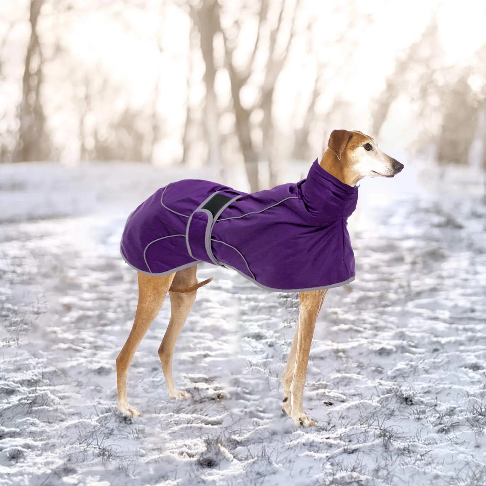 Geyecete Invernale Cappotto Cane Impermeabili per Levrieri,Pile Caldo Giubbotti per Whippet con Fasce Regolabili,Lurcher Pullover,per Media Grande Sighthound Cane -viola-XL - immagine 5