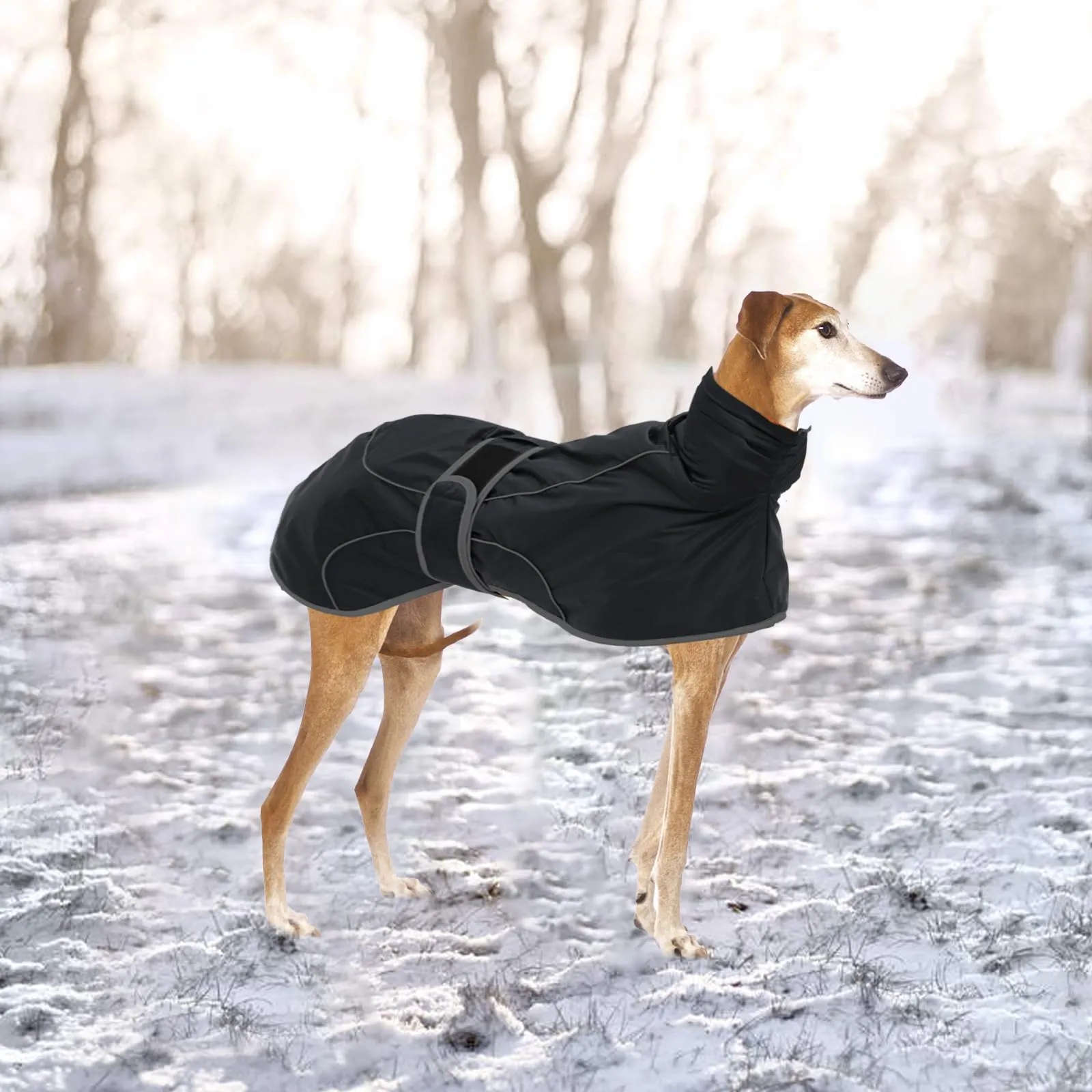 Geyecete Invernale Cappotto Cane Impermeabili per Levrieri,Pile Caldo Giubbotti per Whippet con Fasce Regolabili,Lurcher Pullover,per Media Grande Sighthound Cane -nero-L - immagine 5