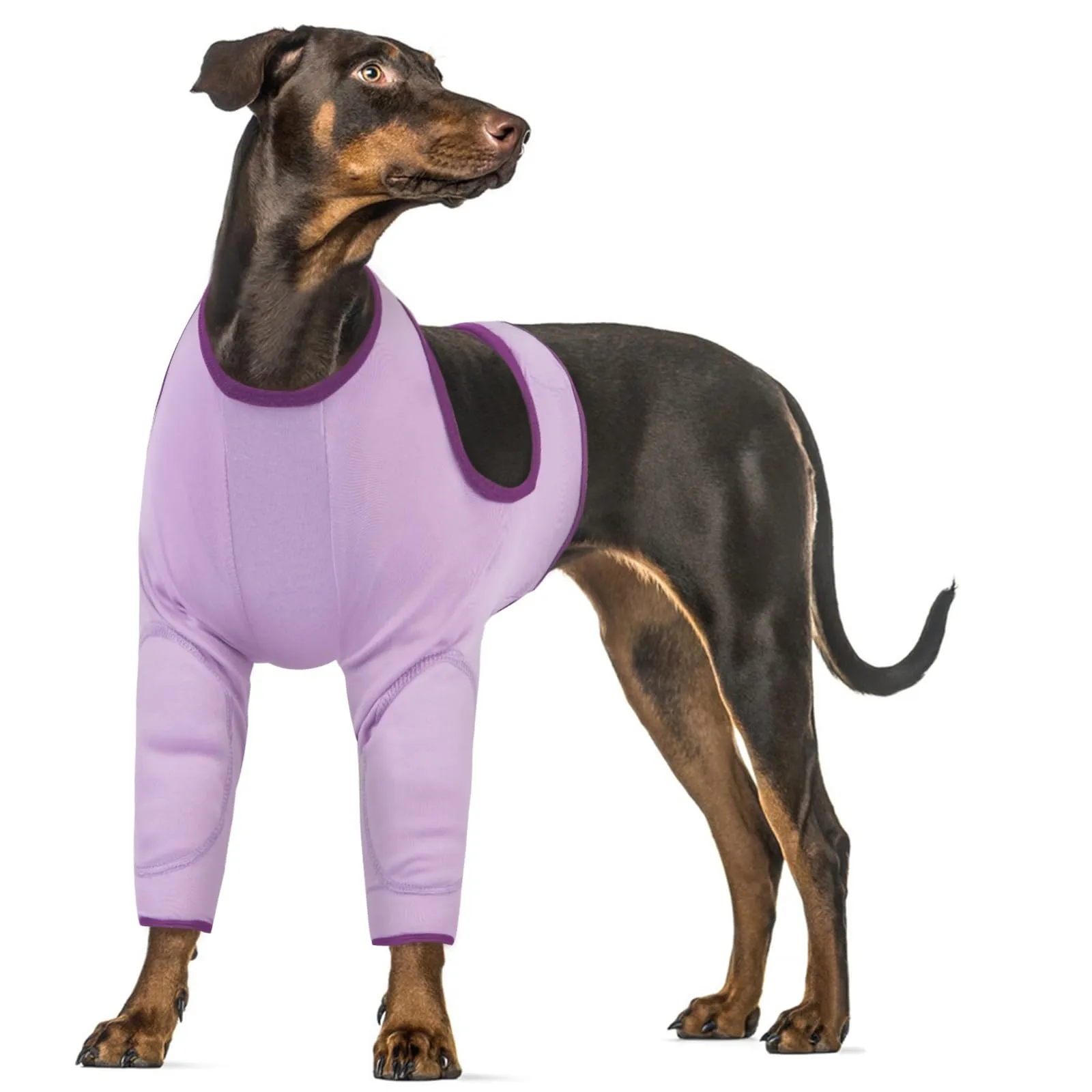 Tutore per Gomito Cani, Protezione Gomiti Ginocchiere Articolazioni Gomitiere Tutore Ginocchio Cane Ferita Manicotto Recupero(Viola, 3XL) - immagine 1