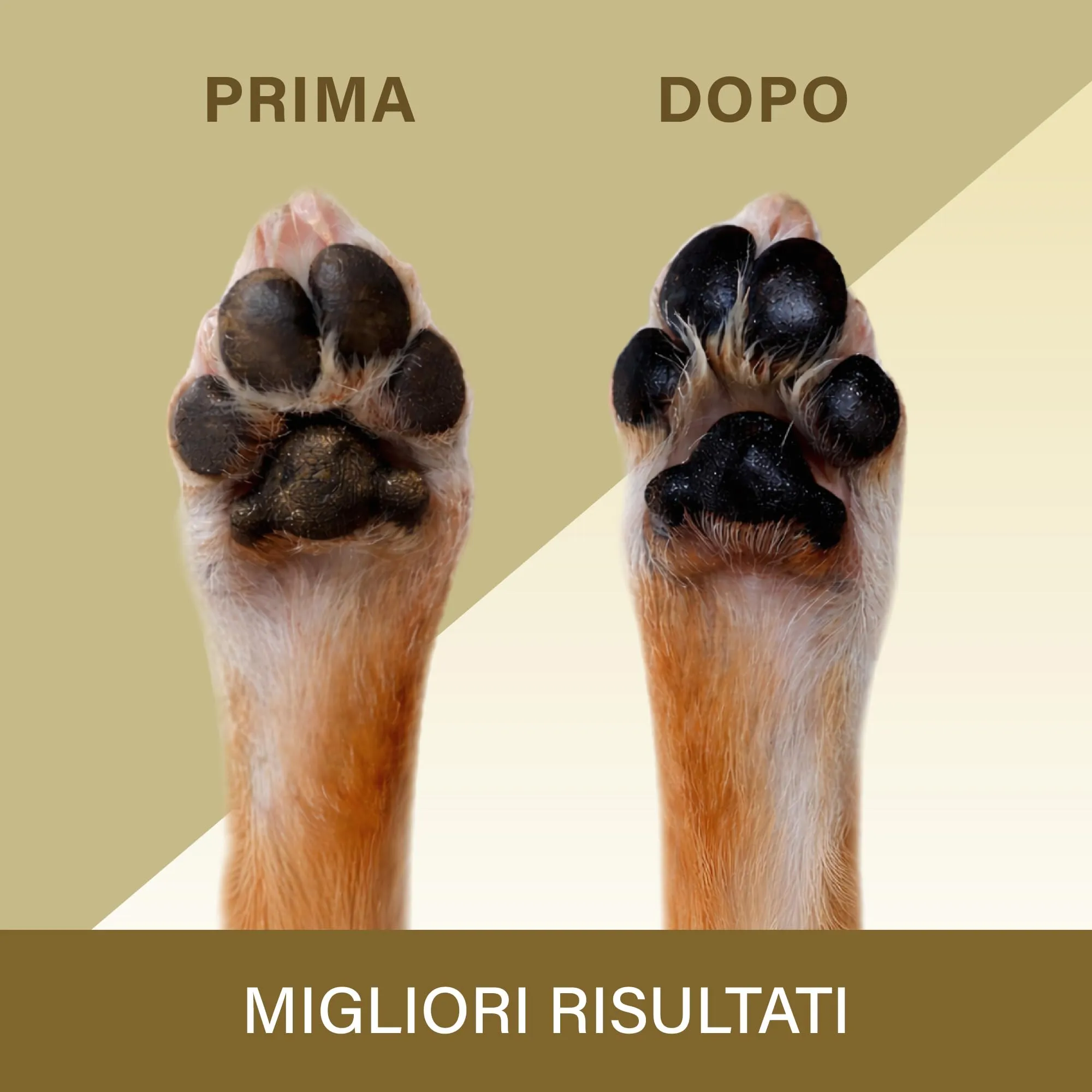 Veddelholzer 100 ml Balsamo per Zampe per Cani – Protezione Naturale e Cura per polpastrelli screpolati. - immagine 5