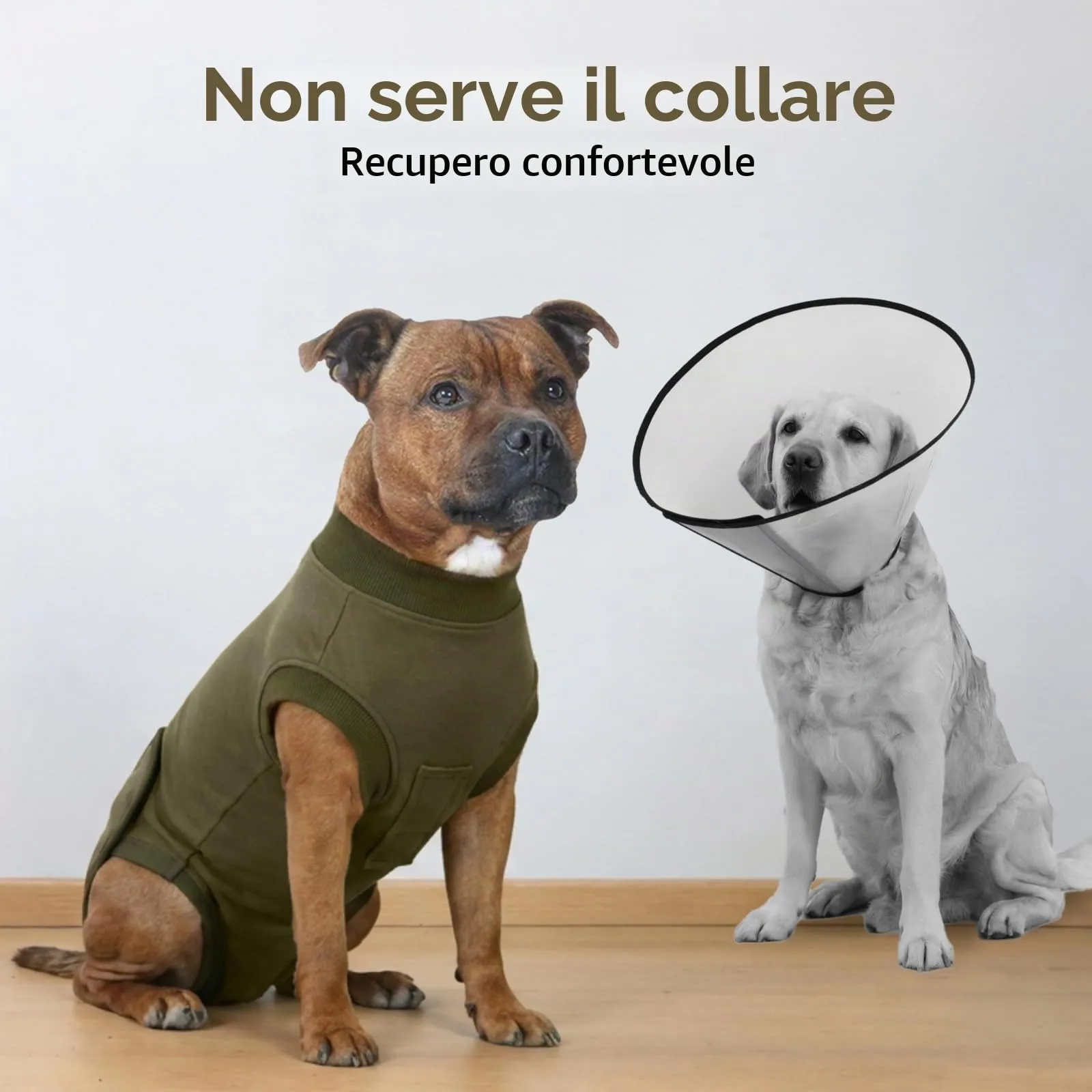 Hjumarayan Tuta Post Operatoria Cane – Body Post Operatorio per Cani, Tuta Recupero Cane e Tuta Antileccamento Cane, Alternativa al Collare Elisabettiano, Verde Militare XS - immagine 4