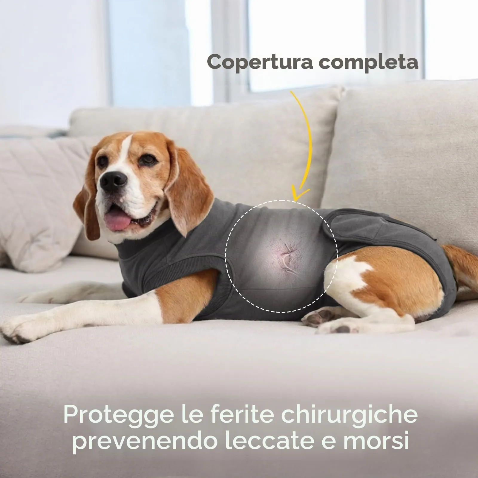 Hjumarayan Tuta Post Operatoria per Cani – Body Chirurgico Antileccamento, Alternativa al Collare Elisabettiano, Ideale Dopo Sterilizzazione e Interventi Chirurgici, Grigio Scuro S - immagine 2