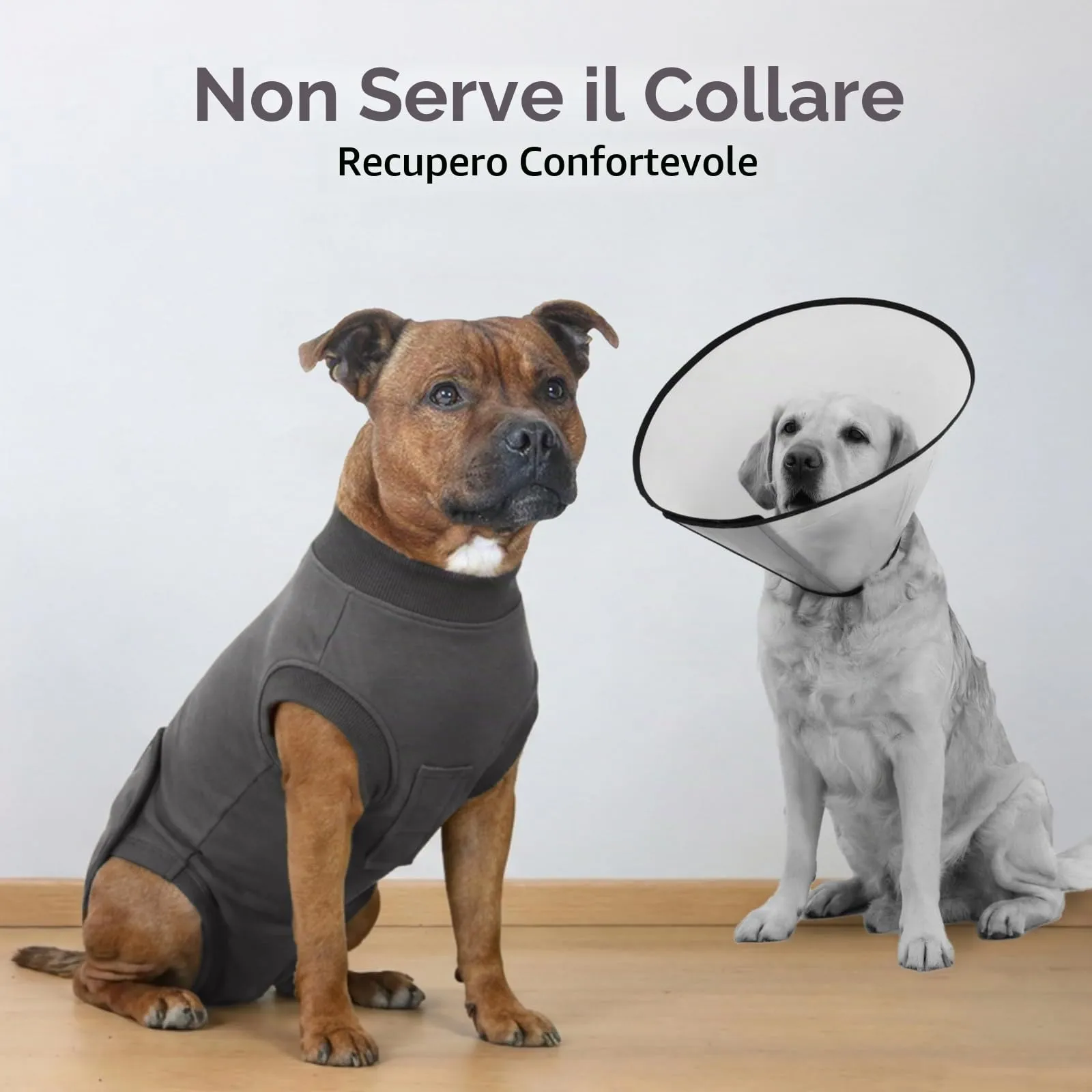 Hjumarayan Tuta Post Operatoria per Cani – Body Chirurgico Antileccamento, Alternativa al Collare Elisabettiano, Ideale Dopo Sterilizzazione e Interventi Chirurgici, Grigio Scuro S - immagine 4