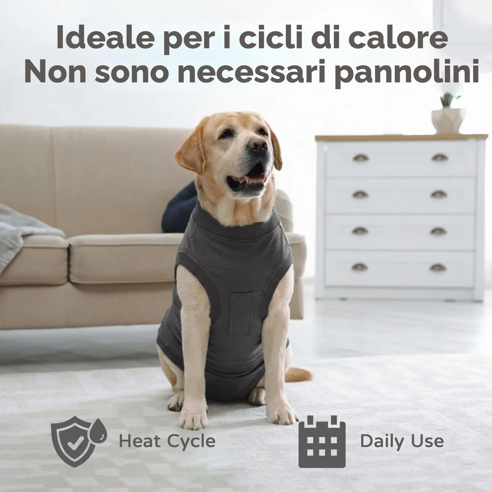 Hjumarayan Tuta Post Operatoria per Cani – Body Chirurgico Antileccamento, Alternativa al Collare Elisabettiano, Ideale Dopo Sterilizzazione e Interventi Chirurgici, Grigio Scuro S - immagine 5