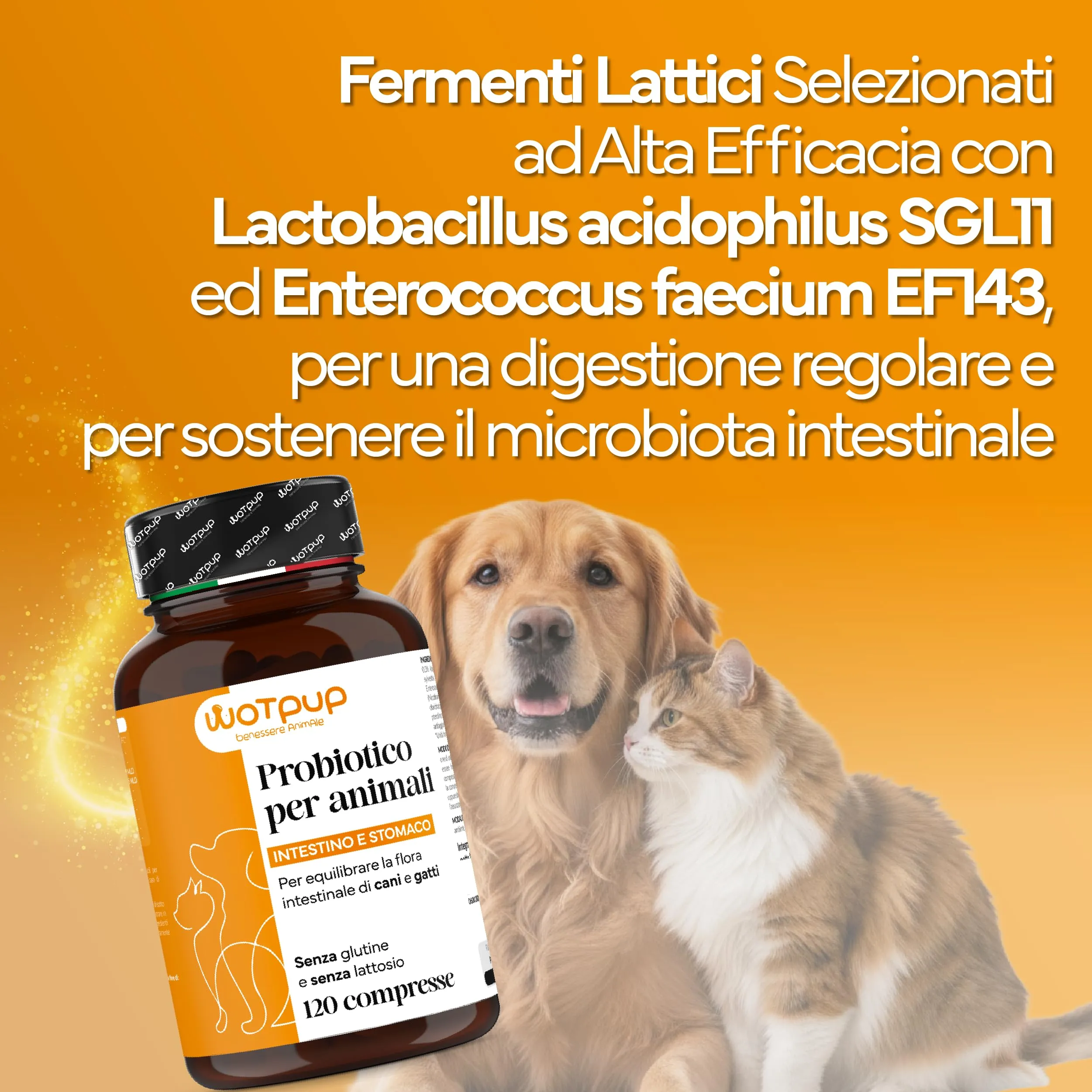 PROBIOTICI PER CANI di Alta Qualità, Fermenti Lattici Cani e Gatti Diarrea - immagine 3