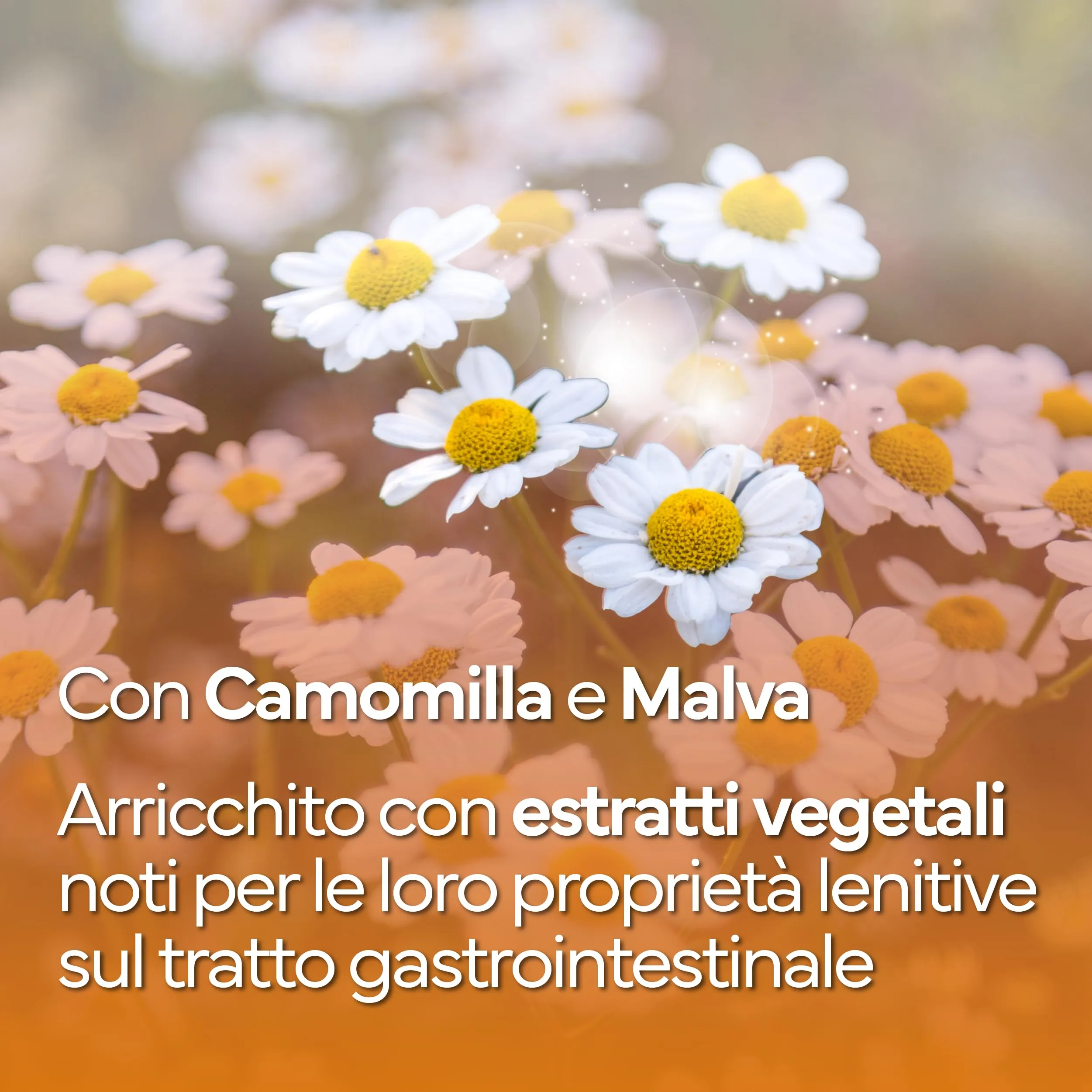 PROBIOTICI PER CANI di Alta Qualità, Fermenti Lattici Cani e Gatti Diarrea - immagine 6