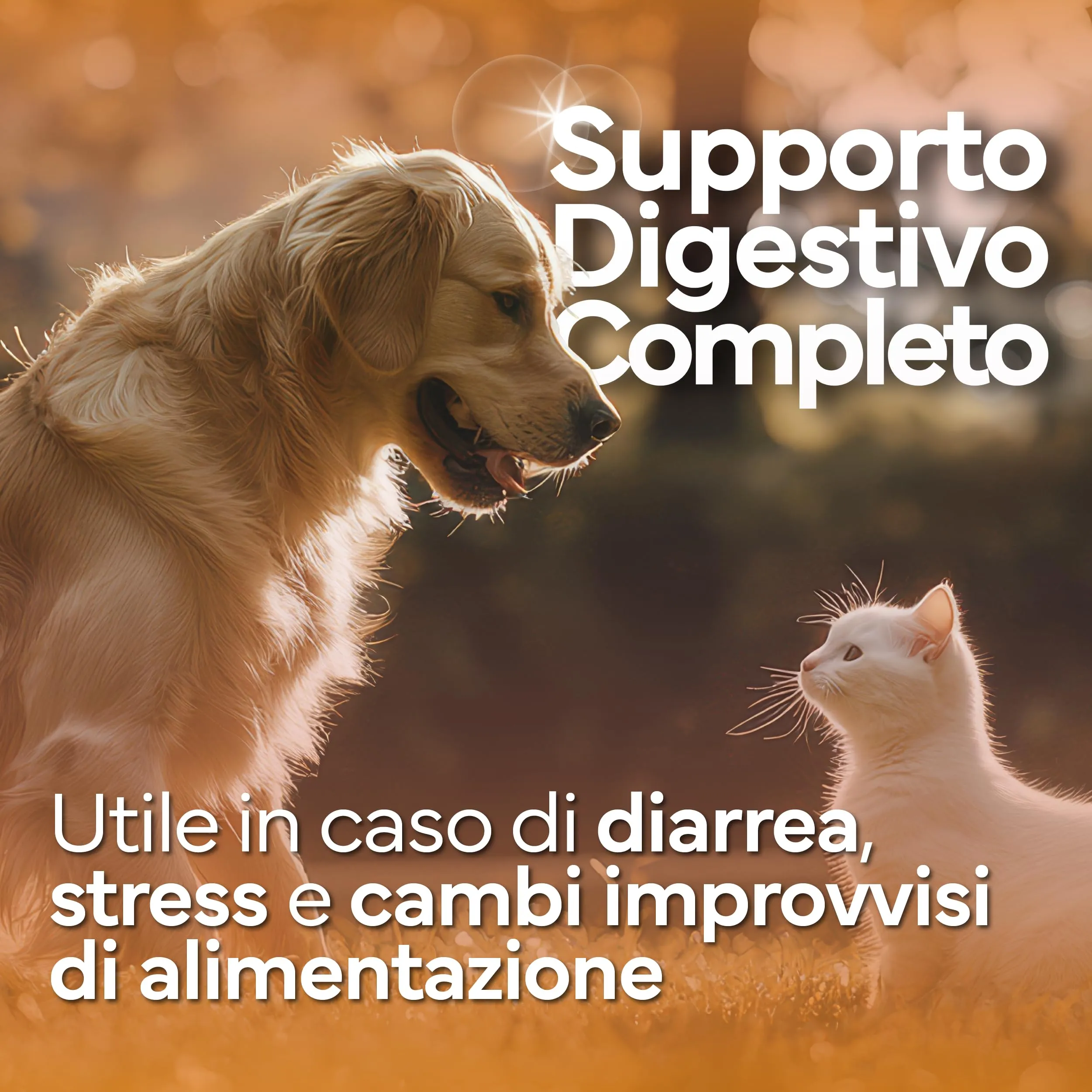 PROBIOTICI PER CANI di Alta Qualità, Fermenti Lattici Cani e Gatti Diarrea - immagine 7