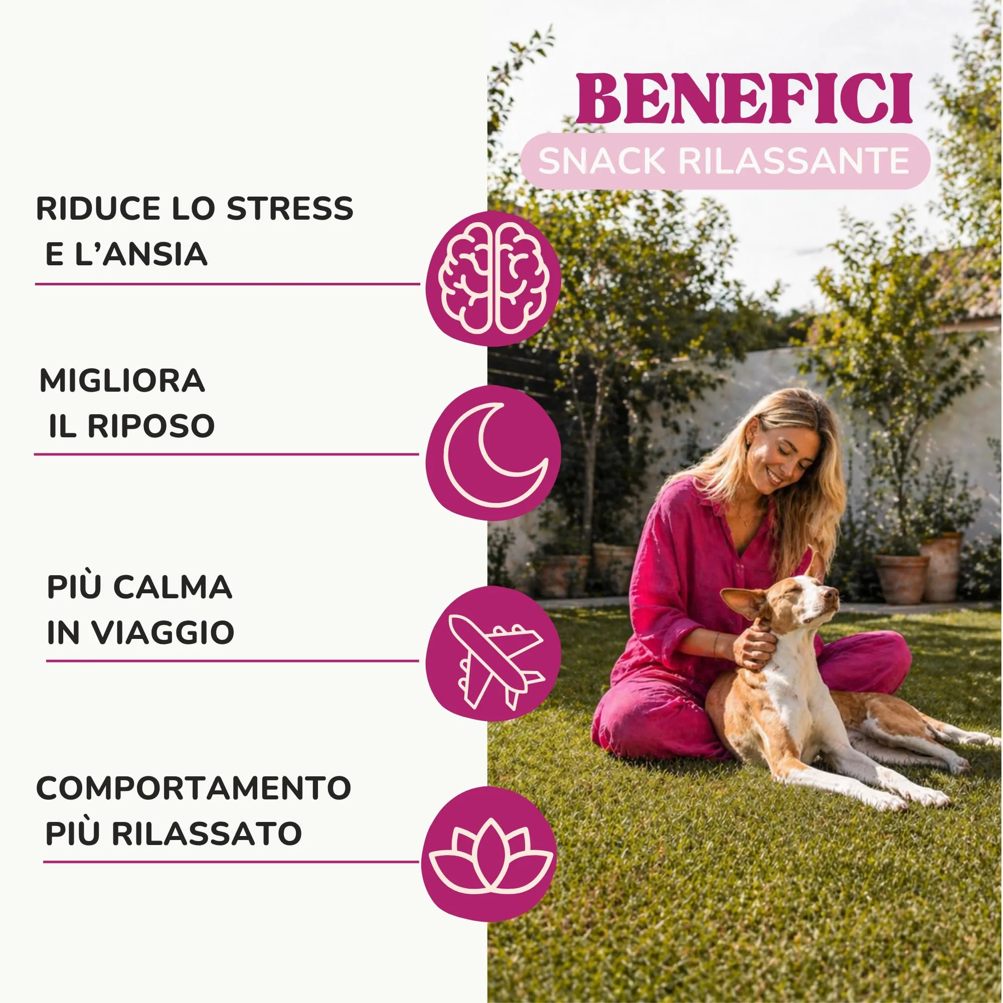 Lamina Care - Calmante per Cani in Snack - 90 Masticativi (270 g) con L-Teanina, Valeriana, Ashwagandha e Magnesio - Ansia, Stress, Botti e Temporali - 420 mg di Attivi per Snack - immagine 2