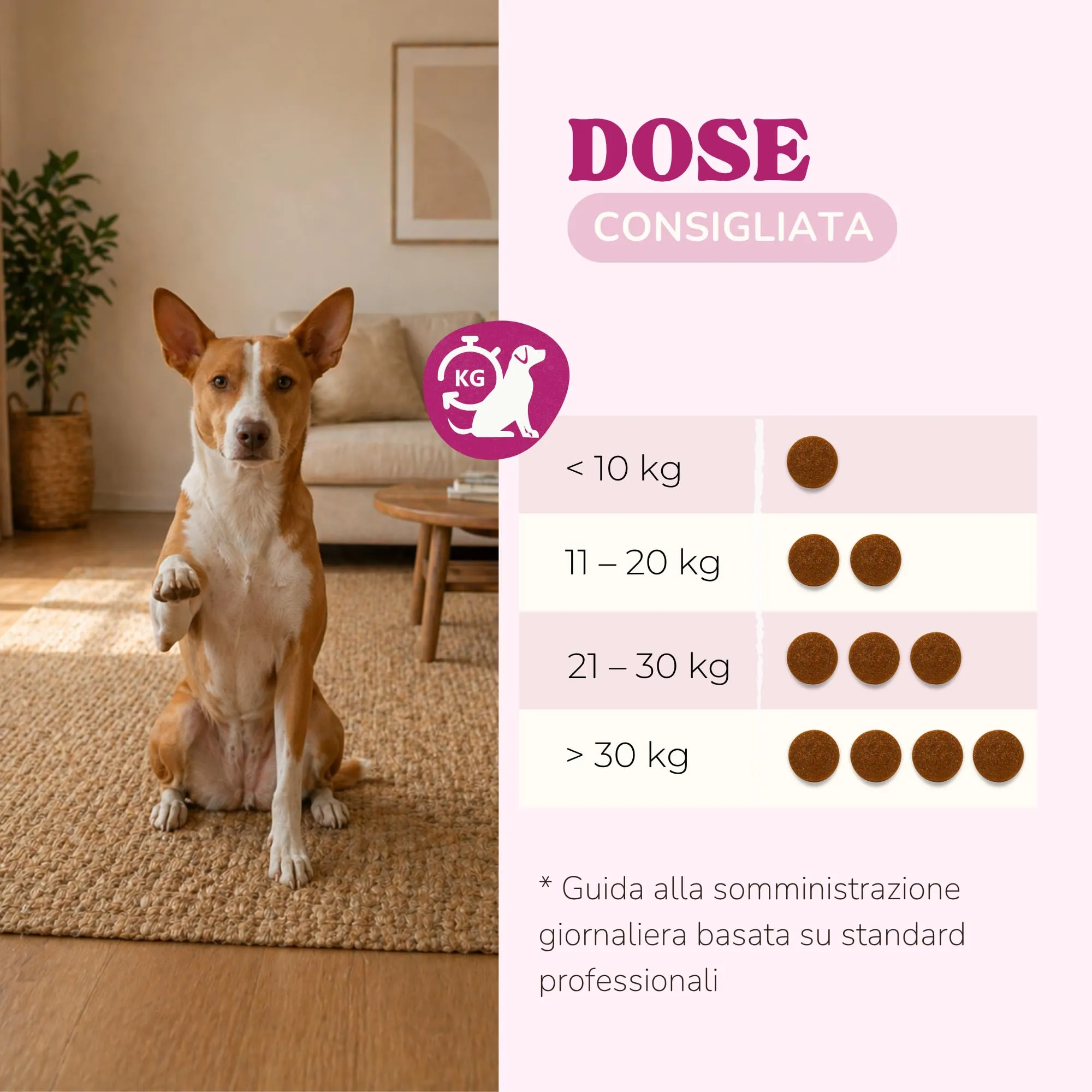 Lamina Care - Calmante per Cani in Snack - 90 Masticativi (270 g) con L-Teanina, Valeriana, Ashwagandha e Magnesio - Ansia, Stress, Botti e Temporali - 420 mg di Attivi per Snack - immagine 4