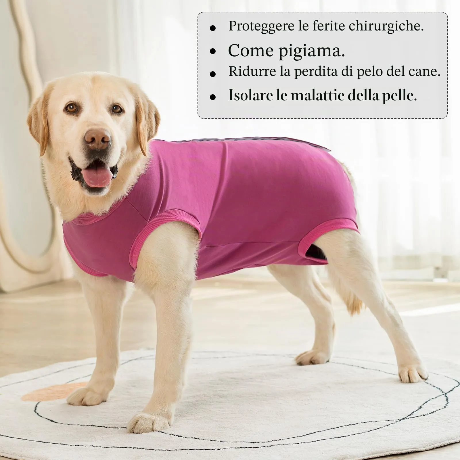 Cyponpy Body Post Operatorio Cane Femmina Maschio Tuta Pigiama Protezione Ferite per Cani Tutina Post Operatoria Cane Vestito Recupero Body per Cani dopo Sterilizzazione Chirurgico Alternative Collare - immagine 7