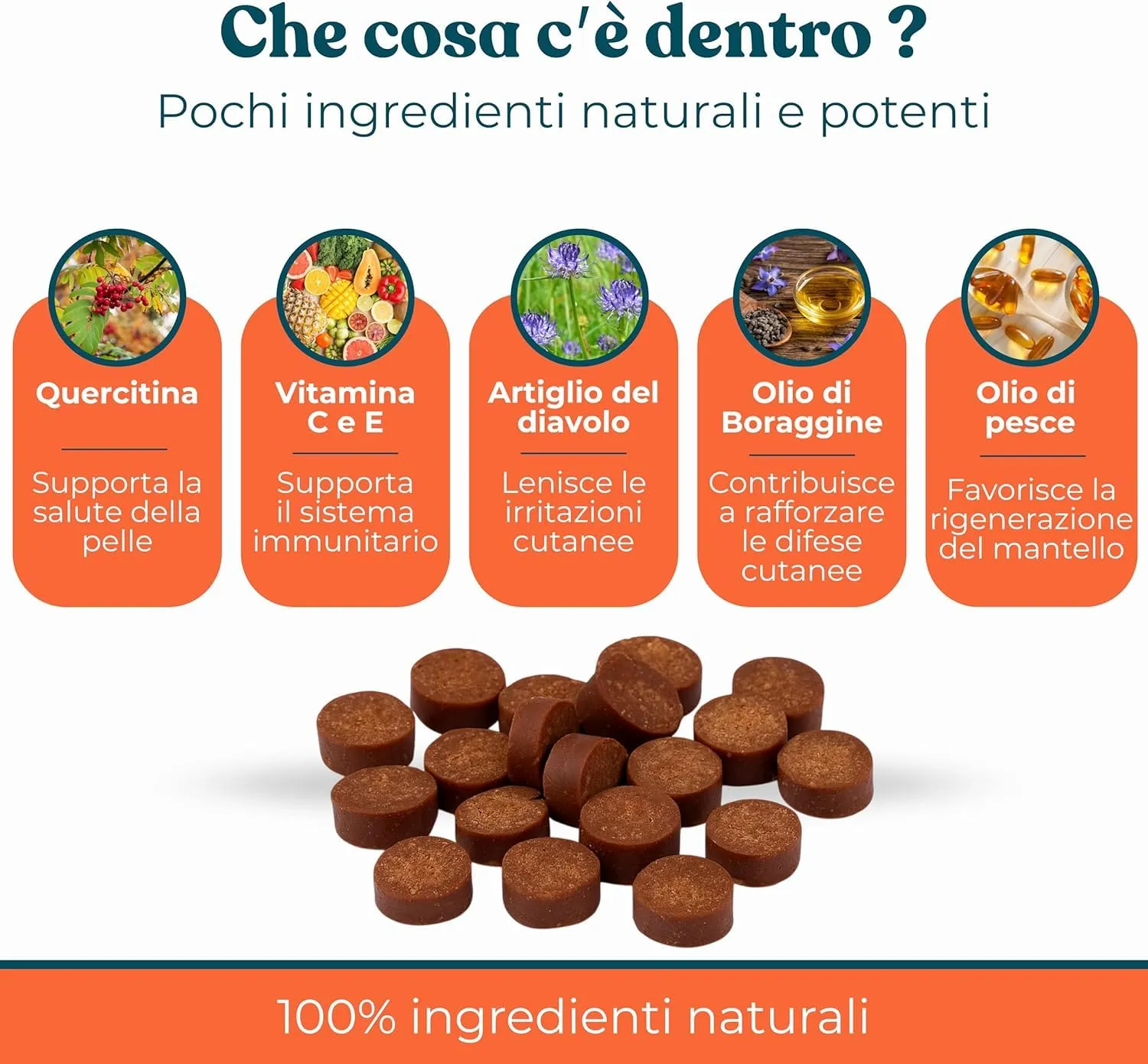 INTEGROPET - Supporto Prurito con Probiotici per Cani Gusto Manzo - Integratore per CanI per Prurito e Sensibilità Stagionali - immagine 4