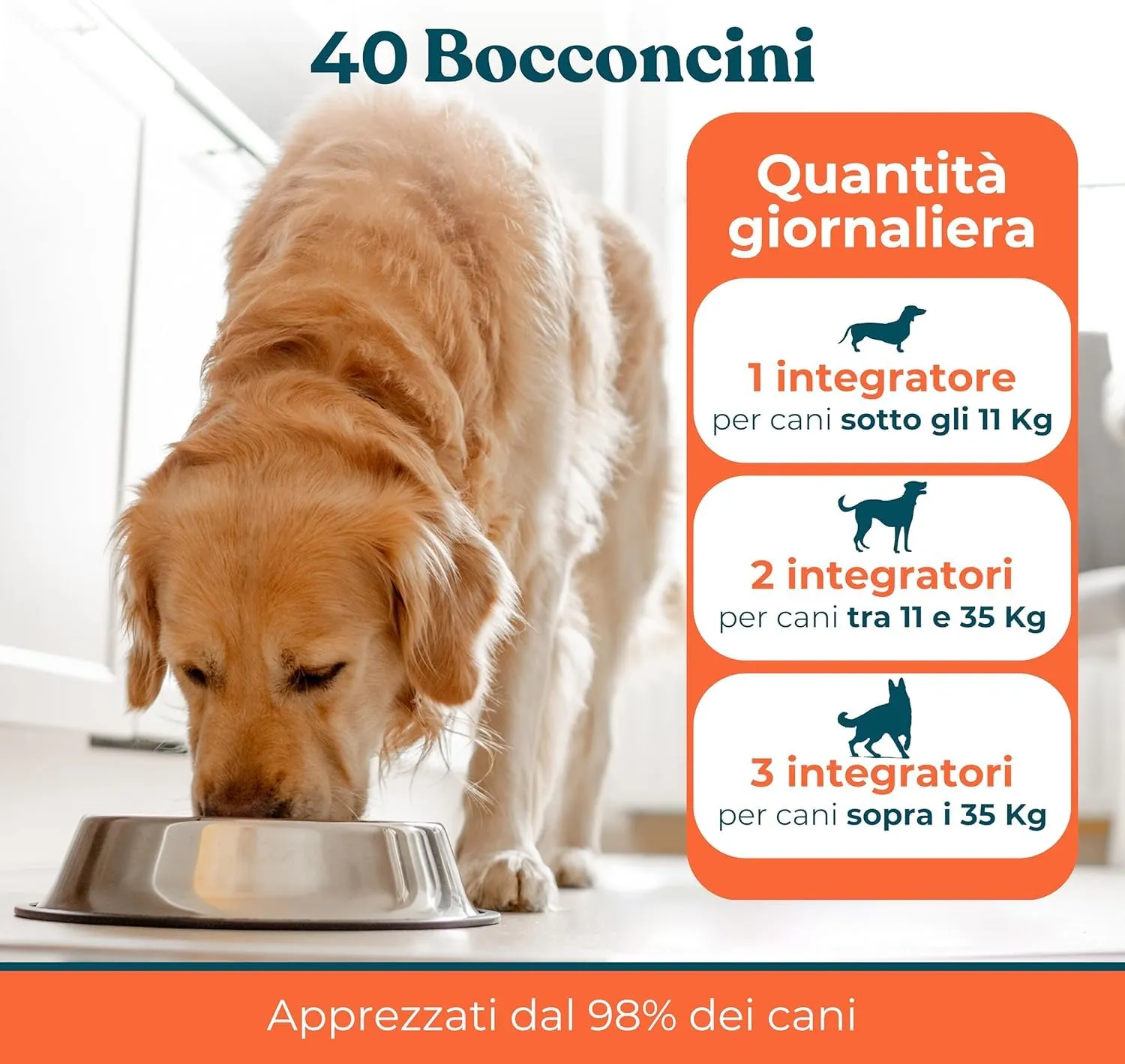 INTEGROPET - Supporto Prurito con Probiotici per Cani Gusto Manzo - Integratore per CanI per Prurito e Sensibilità Stagionali - immagine 5