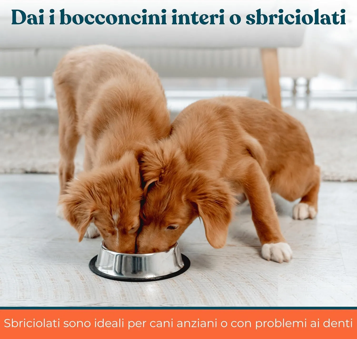 INTEGROPET - Supporto Prurito con Probiotici per Cani Gusto Manzo - Integratore per CanI per Prurito e Sensibilità Stagionali - immagine 7