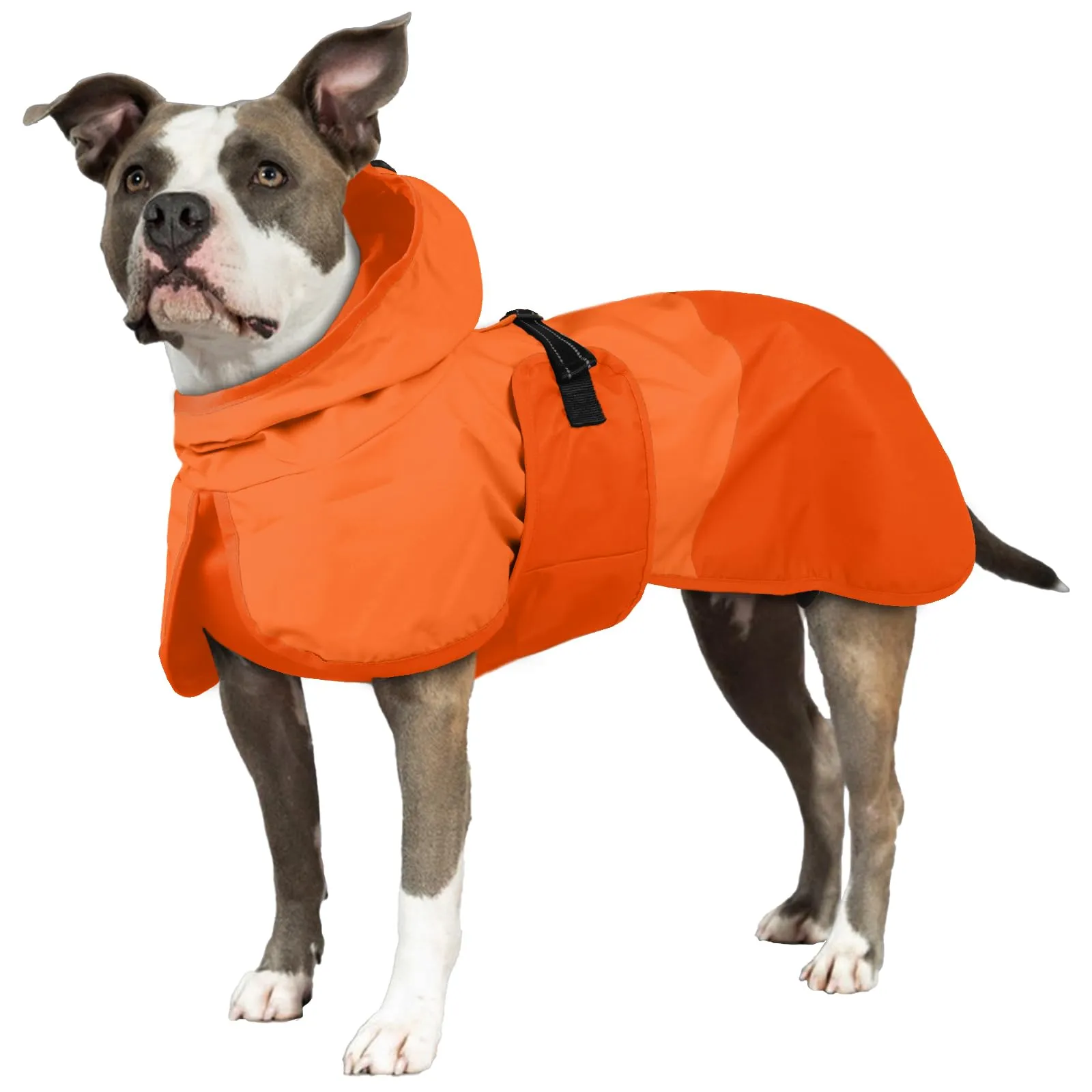 Giacca antipioggia per cani, impermeabile, regolabile, antivento, arancione, taglia 2XL - immagine 1
