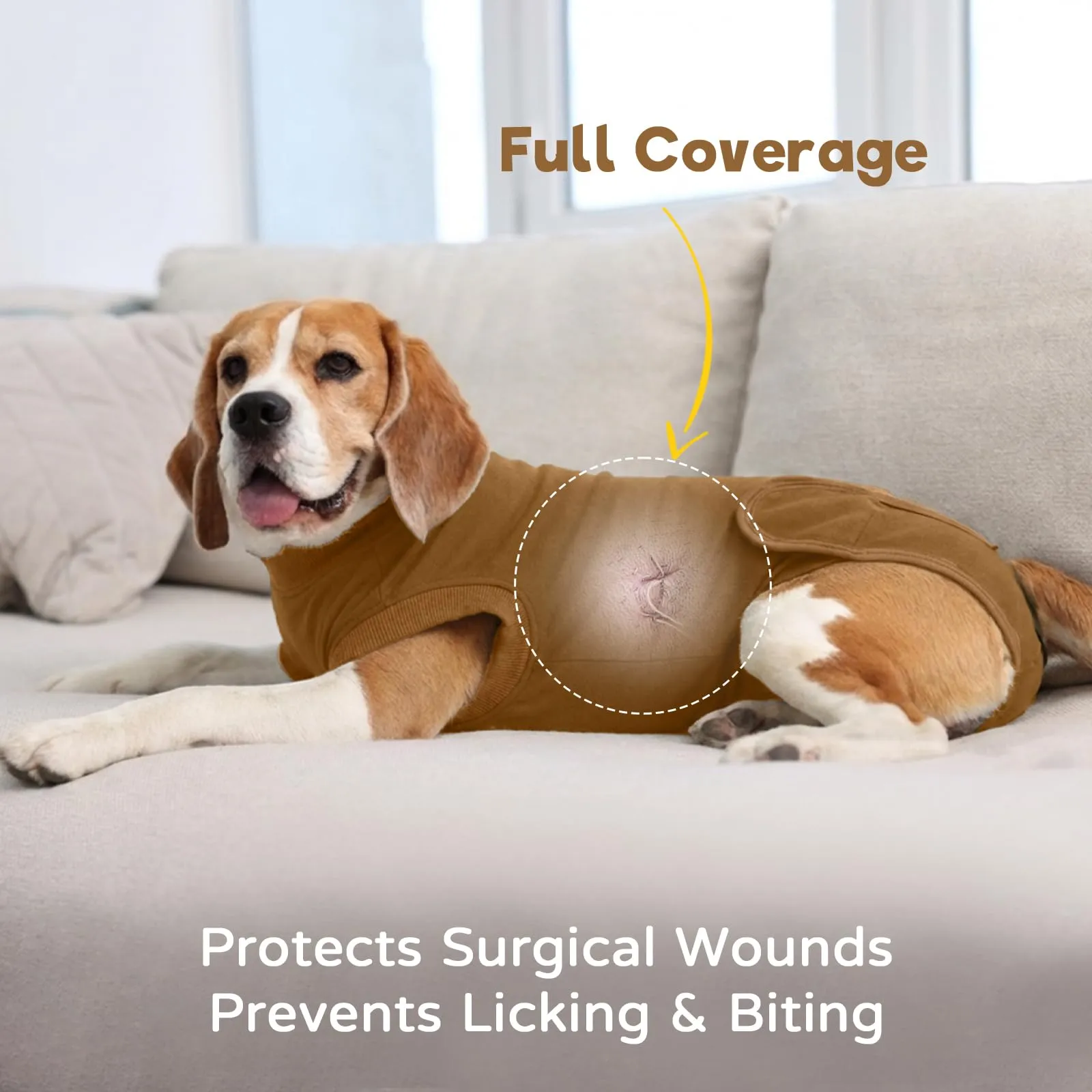 Tuta Post Operatoria per Cani Femmina | Body Recupero Cane per Sterilizzazione e Castrazione in Cotone | Body Chirurgico Antileccamento | Alternativa Confortevole al Collare (Marrone M） - immagine 2