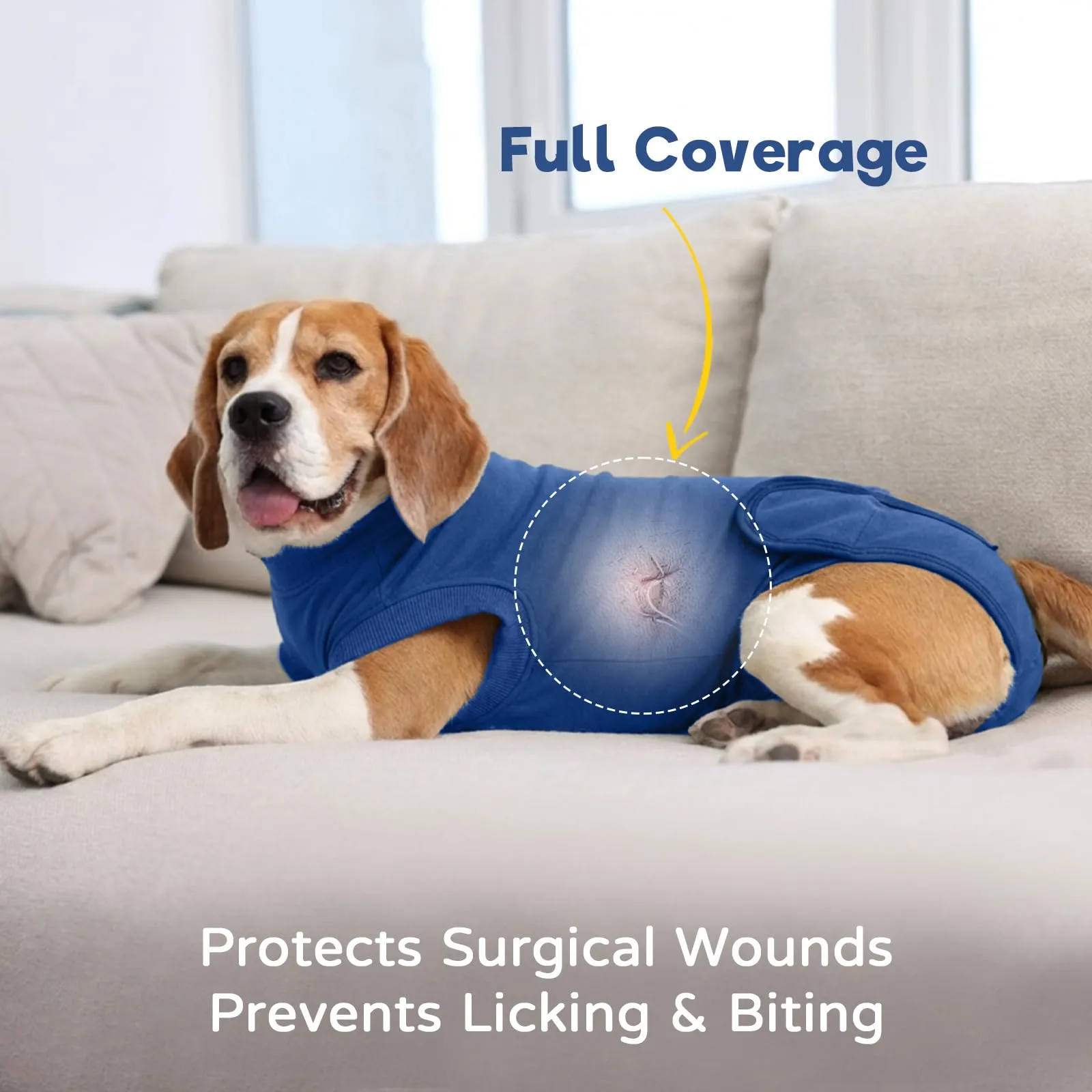 Tuta Post Operatoria per Cani Femmina | Body Recupero Cane per Sterilizzazione e Castrazione in Cotone | Body Chirurgico Antileccamento | Alternativa Confortevole al Collare (Blu Polvere XL) - immagine 2