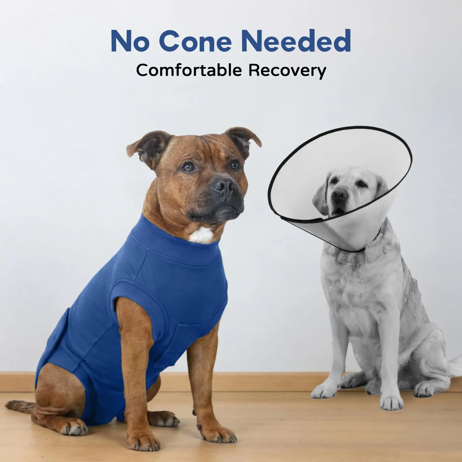 Tuta Post Operatoria per Cani Femmina | Body Recupero Cane per Sterilizzazione e Castrazione in Cotone | Body Chirurgico Antileccamento | Alternativa Confortevole al Collare (Blu Polvere M） - immagine 5