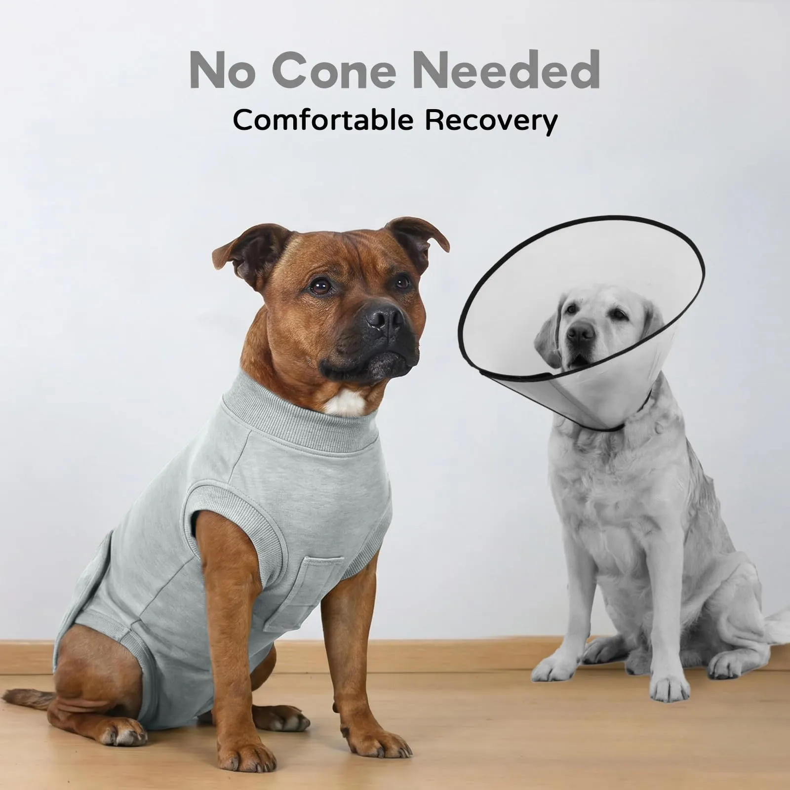 Tuta Post Operatoria per Cani Femmina | Body Recupero Cane per Sterilizzazione e Castrazione in Cotone | Body Chirurgico Antileccamento | Alternativa Confortevole al Collare (Grigio Chiaro L） - immagine 5