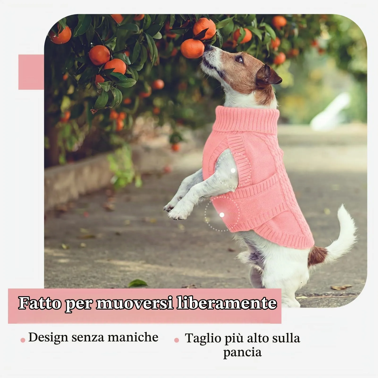 Hjumarayan Maglione per cani in maglia per bassotto in miniatura, caldo maglione senza maniche con collo alto, vestiti invernali con foro per imbracatura, maglieria senza maniche, Shih Tzu (rosa - immagine 6
