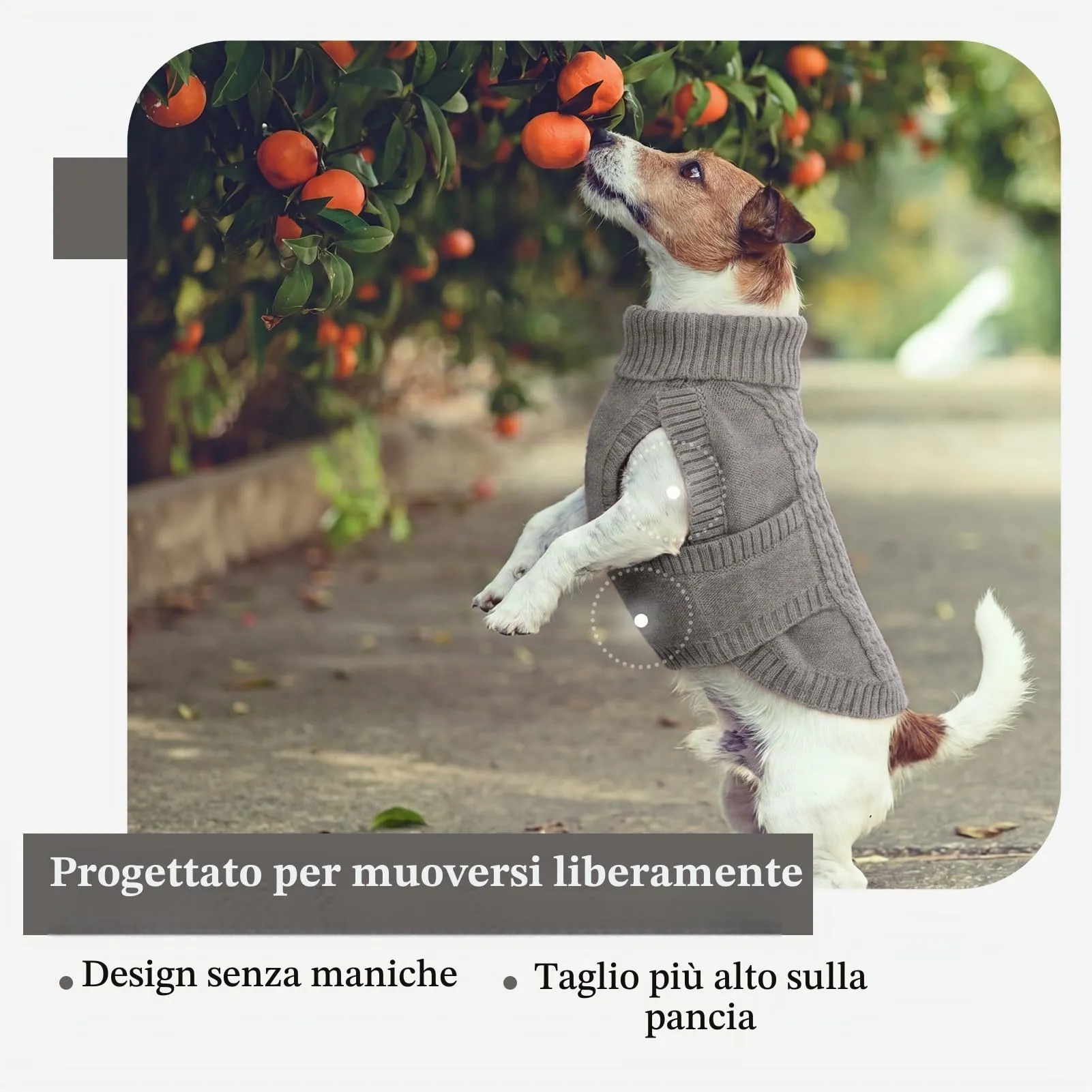 Hjumarayan Maglione per cani in maglia per bassotto in miniatura, caldo maglione senza maniche con collo alto, vestiti invernali con foro per imbracatura, maglieria senza maniche, Shih Tzu (grigio - immagine 6