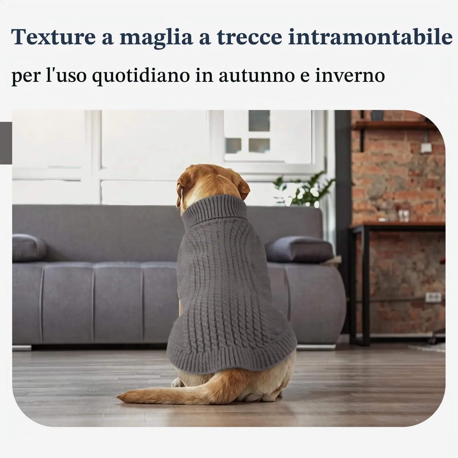 Hjumarayan Maglione per cani in maglia per bassotto in miniatura, caldo maglione senza maniche con collo alto, vestiti invernali con foro per imbracatura, maglieria senza maniche, Shih Tzu (grigio - immagine 8