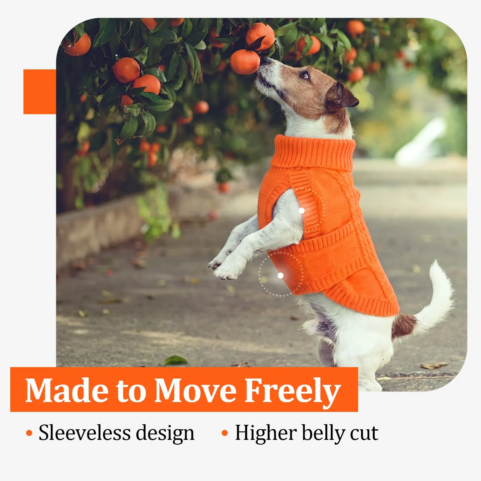 Hjumarayan Maglione per cani per bulldog francese, maglione a maglia ritorto con collo alto | abbigliamento invernale elasticizzato | maglia senza maniche con foro per imbracatura | Beagle - immagine 6