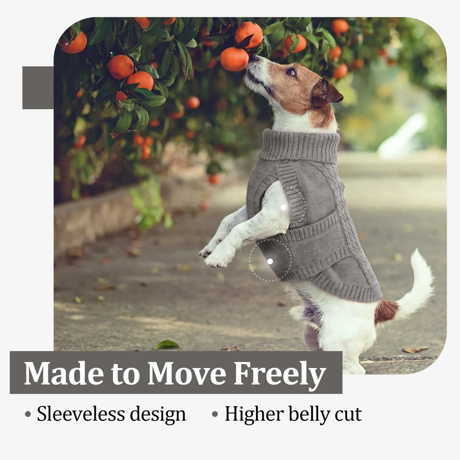 Hjumarayan Maglione per cani, per bulldog francese, maglione per cani lavorato a maglia a trecce, con collo alto, abbigliamento invernale elasticizzato, senza maniche, con foro per imbracatura, beagle - immagine 6